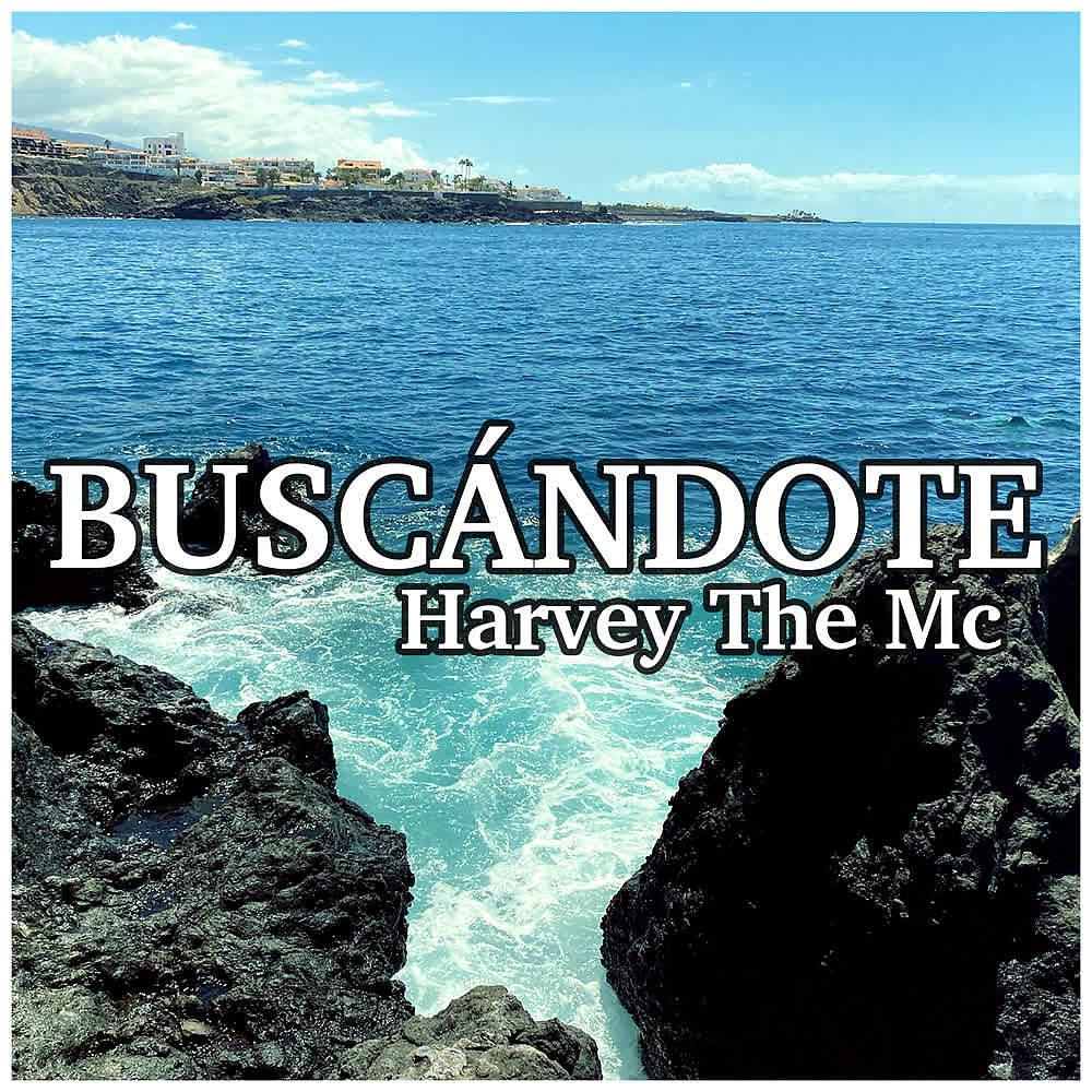Постер альбома Buscándote (Instrumental)