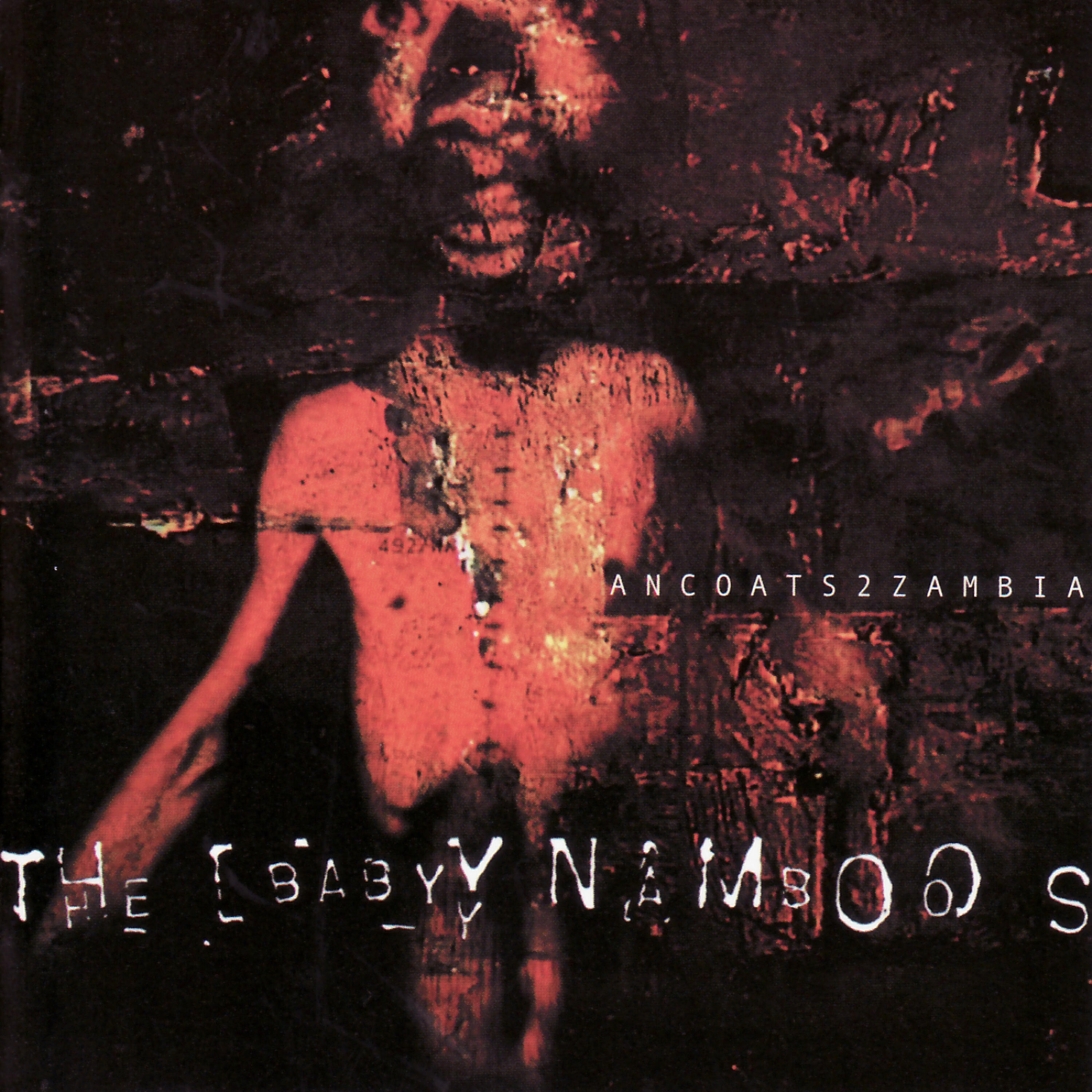 The Baby Namboos - Persist To Reminisce