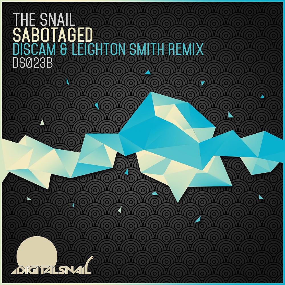 Постер альбома Sabotaged (Discam & Leighton Smith Remix)
