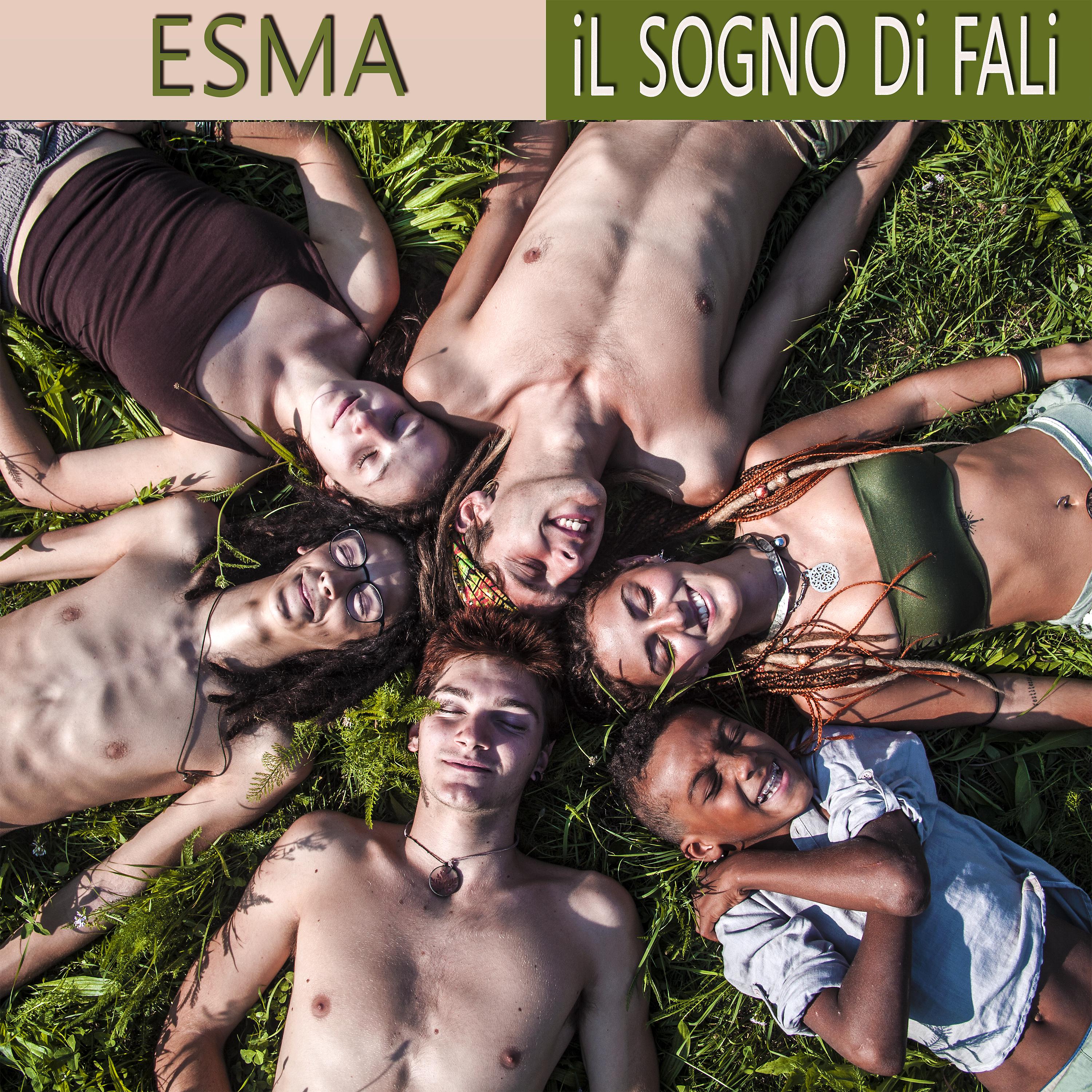 Постер альбома Il sogno di Fali
