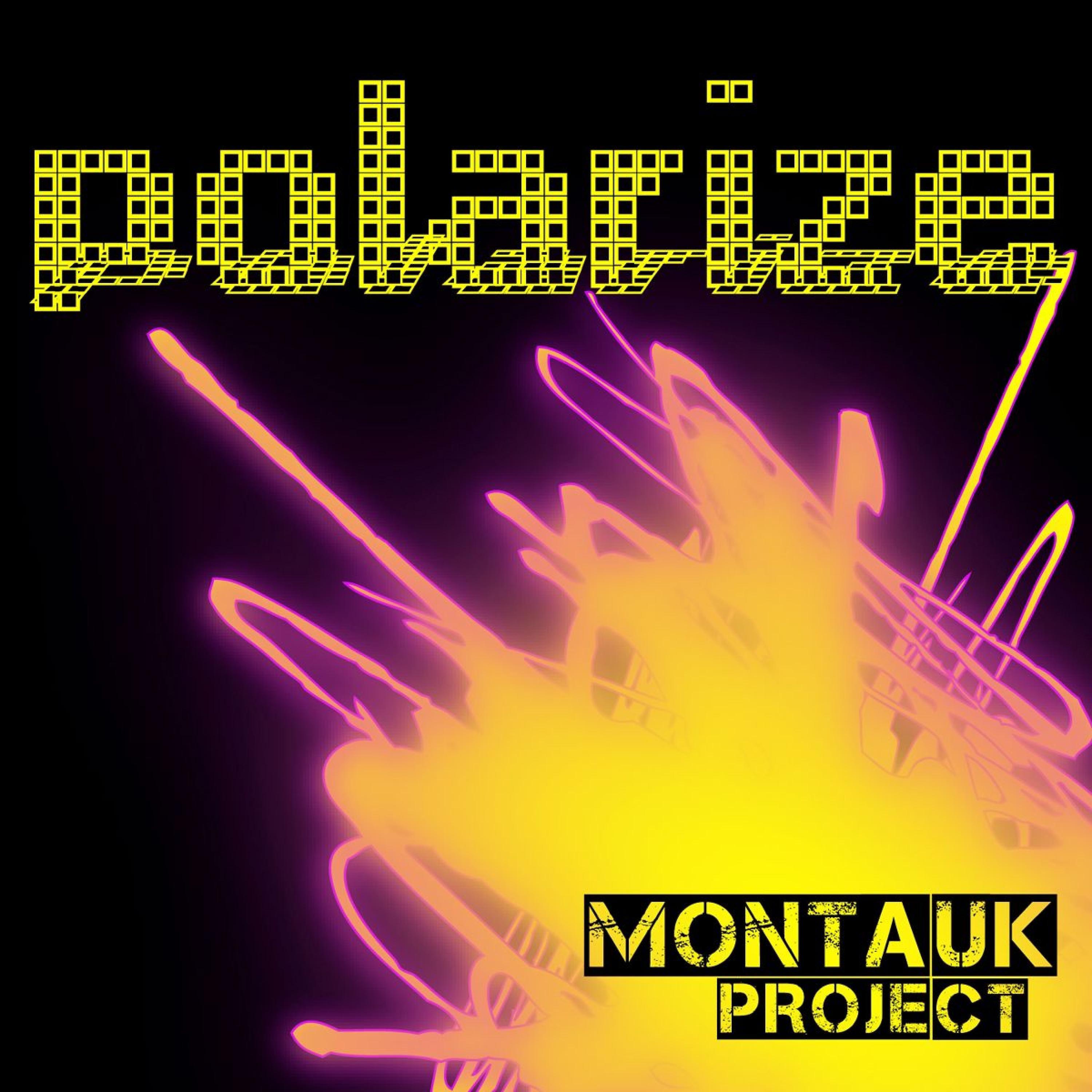 Постер альбома Polarize