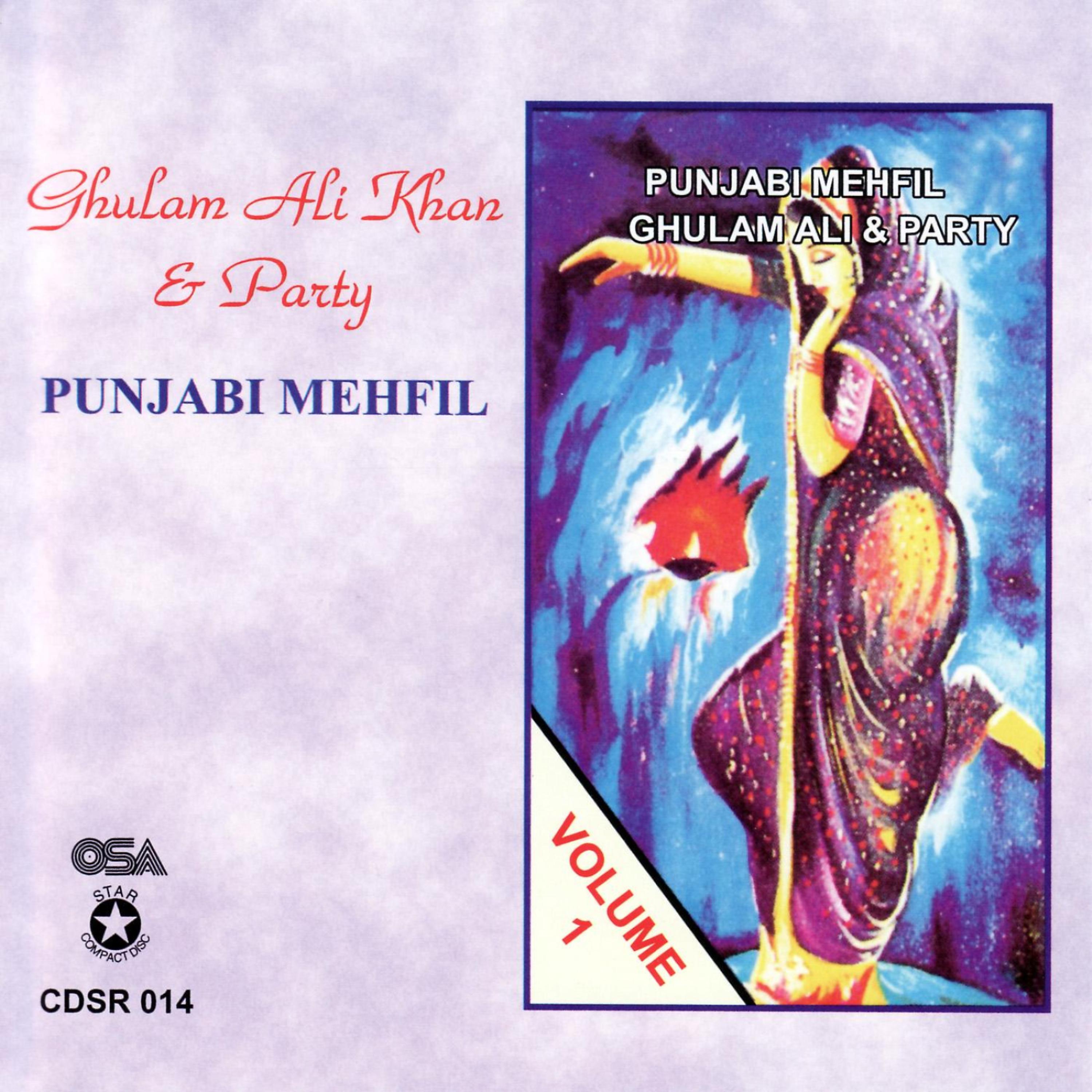 Постер альбома Punjabi Mehfil Volume 1