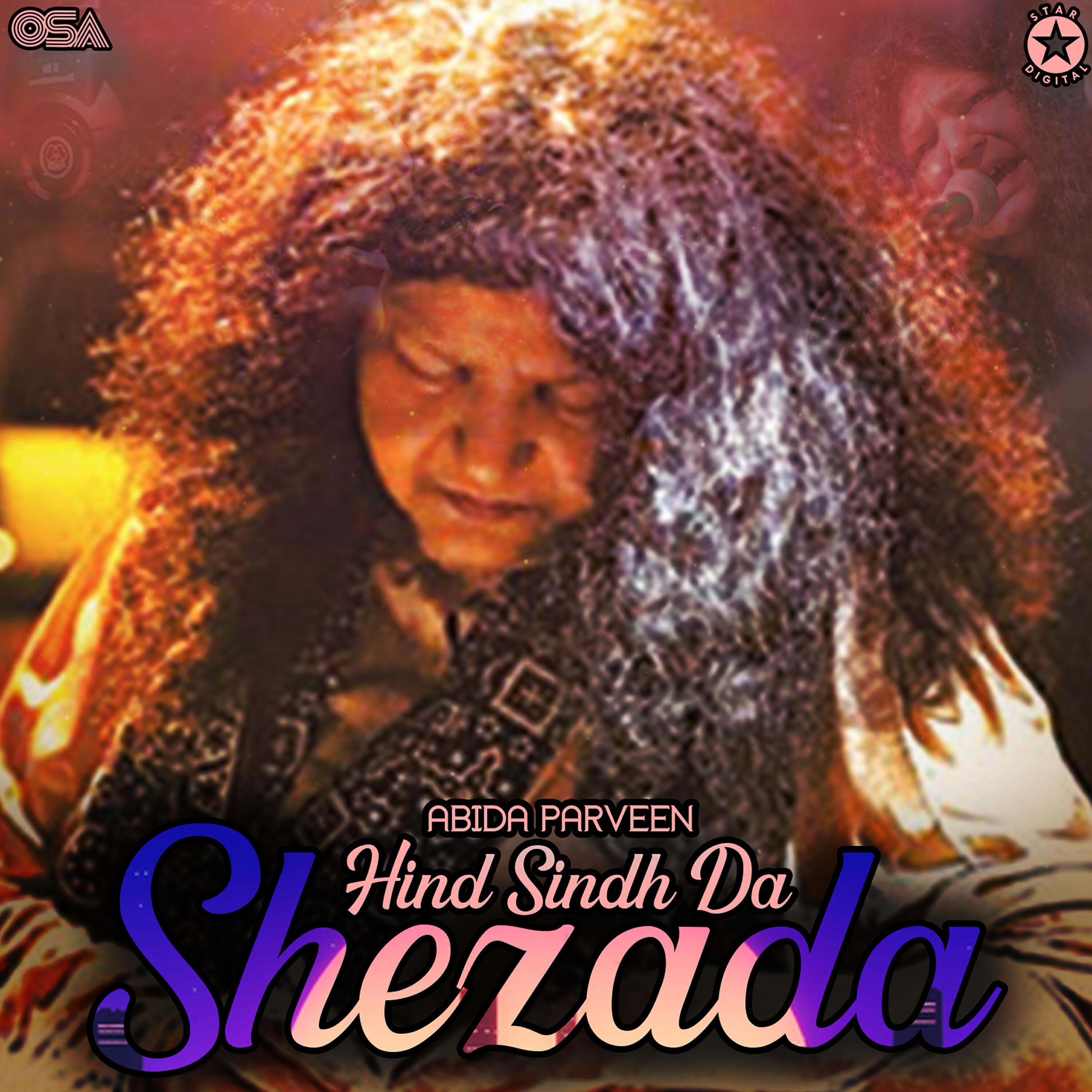 ABIDA PARVEEN - Hind Sindh Da Shezada