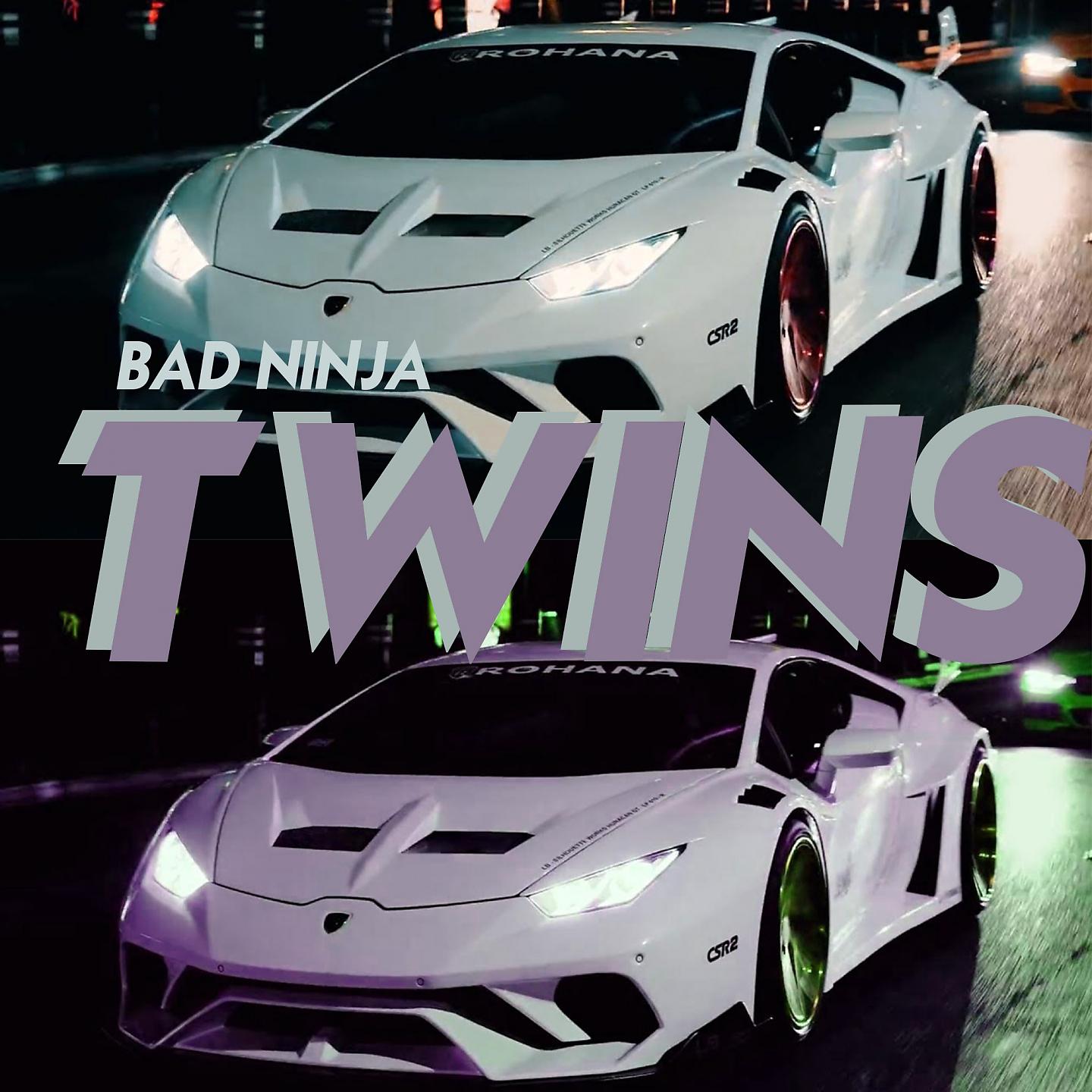 Постер альбома Twins