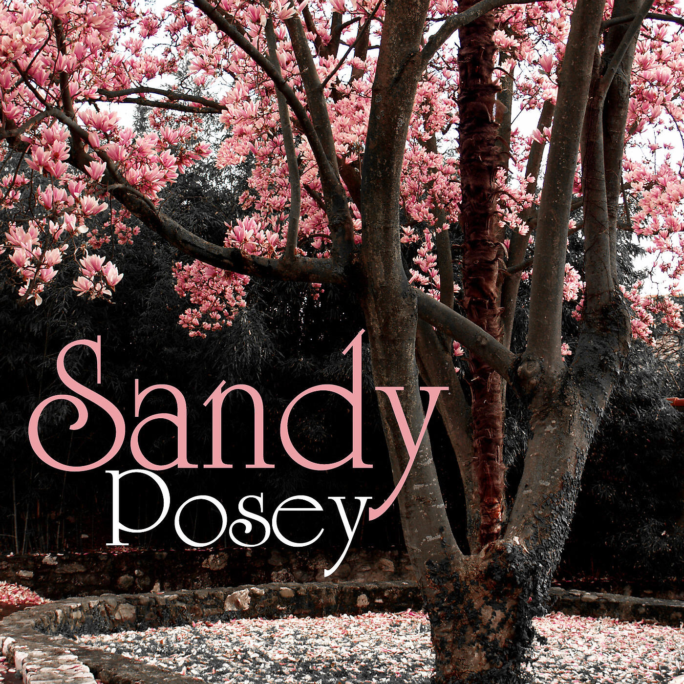 Sandy Posey - I Will Follow Him (Re-Recording)