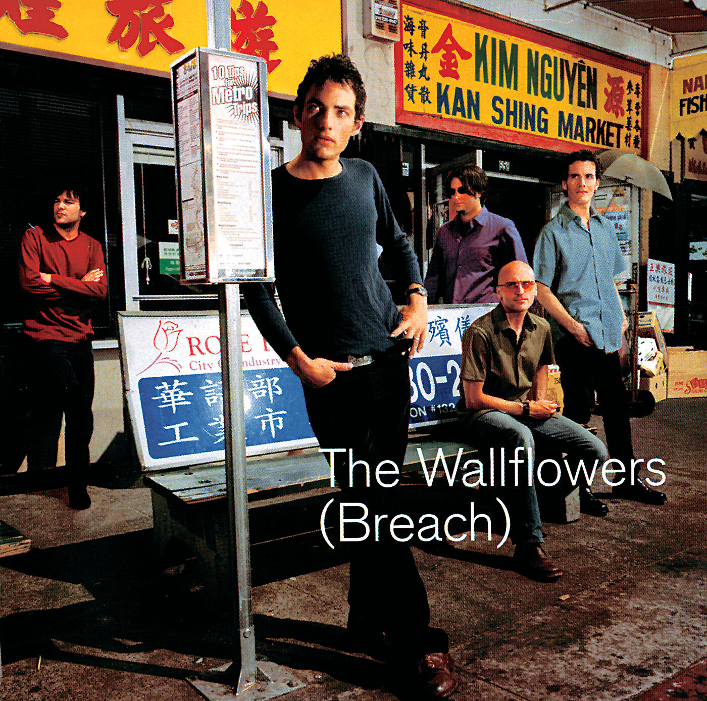 The Wallflowers - Witness (Album Version)