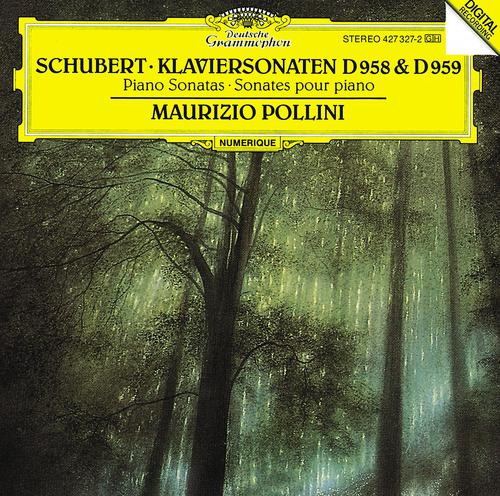 Постер альбома Schubert: Piano Sonatas D958 & D959