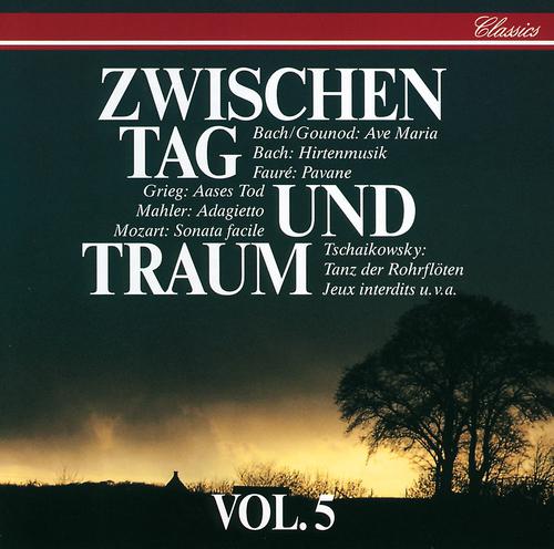 Постер альбома Zwischen Tag Und Traum Vol.5