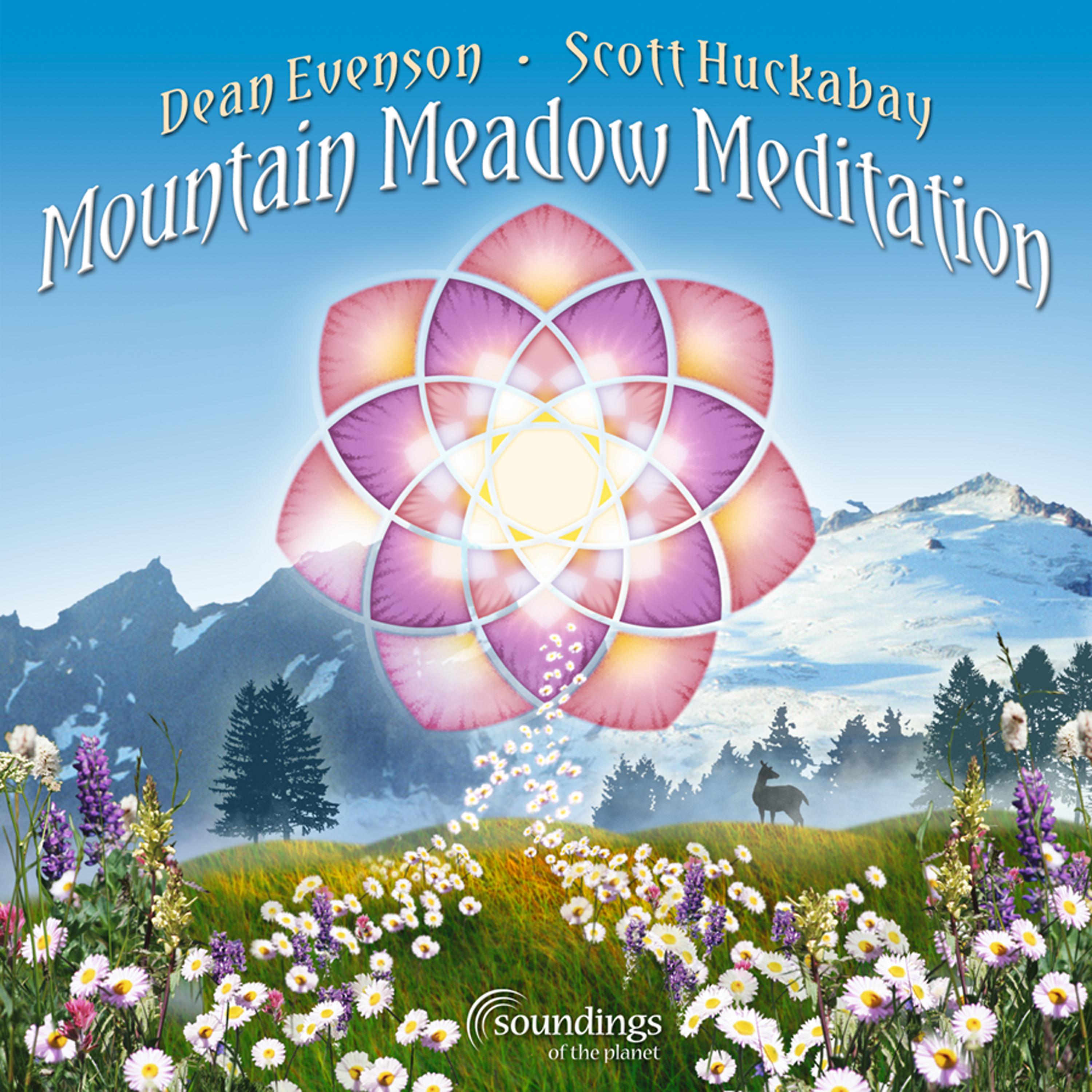 Постер альбома Mountain Meadow Meditation