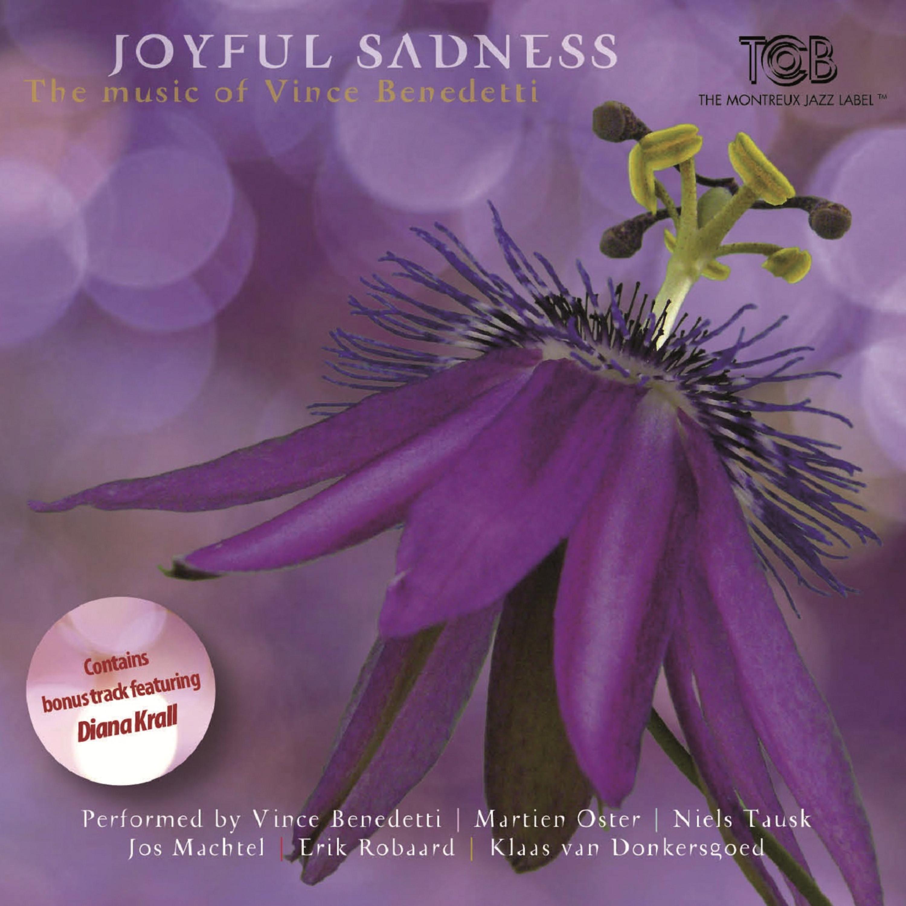 Постер альбома Joyful Sadness / The Music of Vince Benedetti