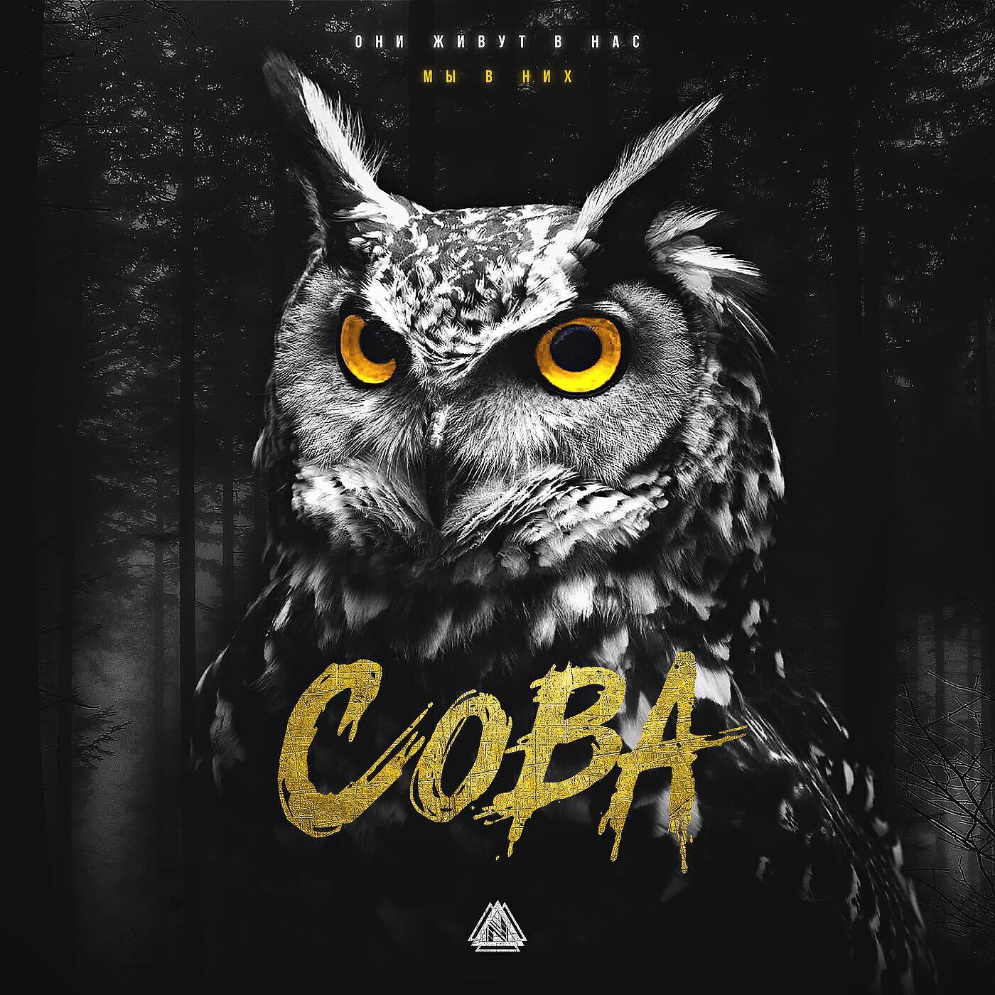 фон для презентации с совой. включи музыку сова. сова клипарт. совушки с наушниками. совенок рисунок.