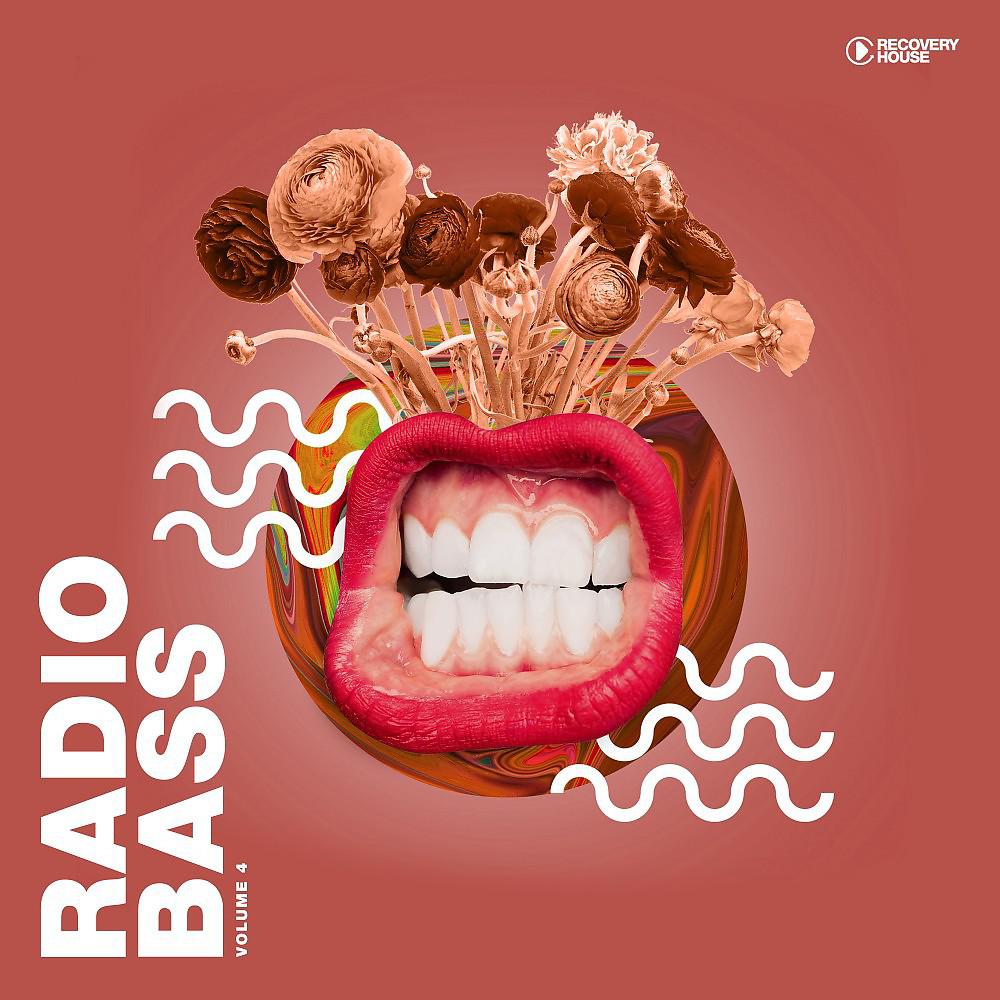 Постер альбома Radio Bass, Vol. 4