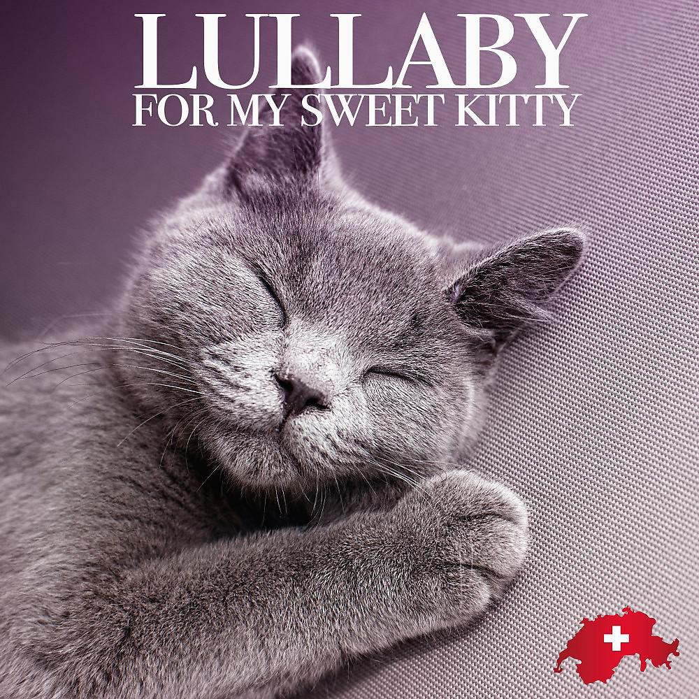 Постер альбома Lullaby for My Sweet Kitty (Swiss Edition)