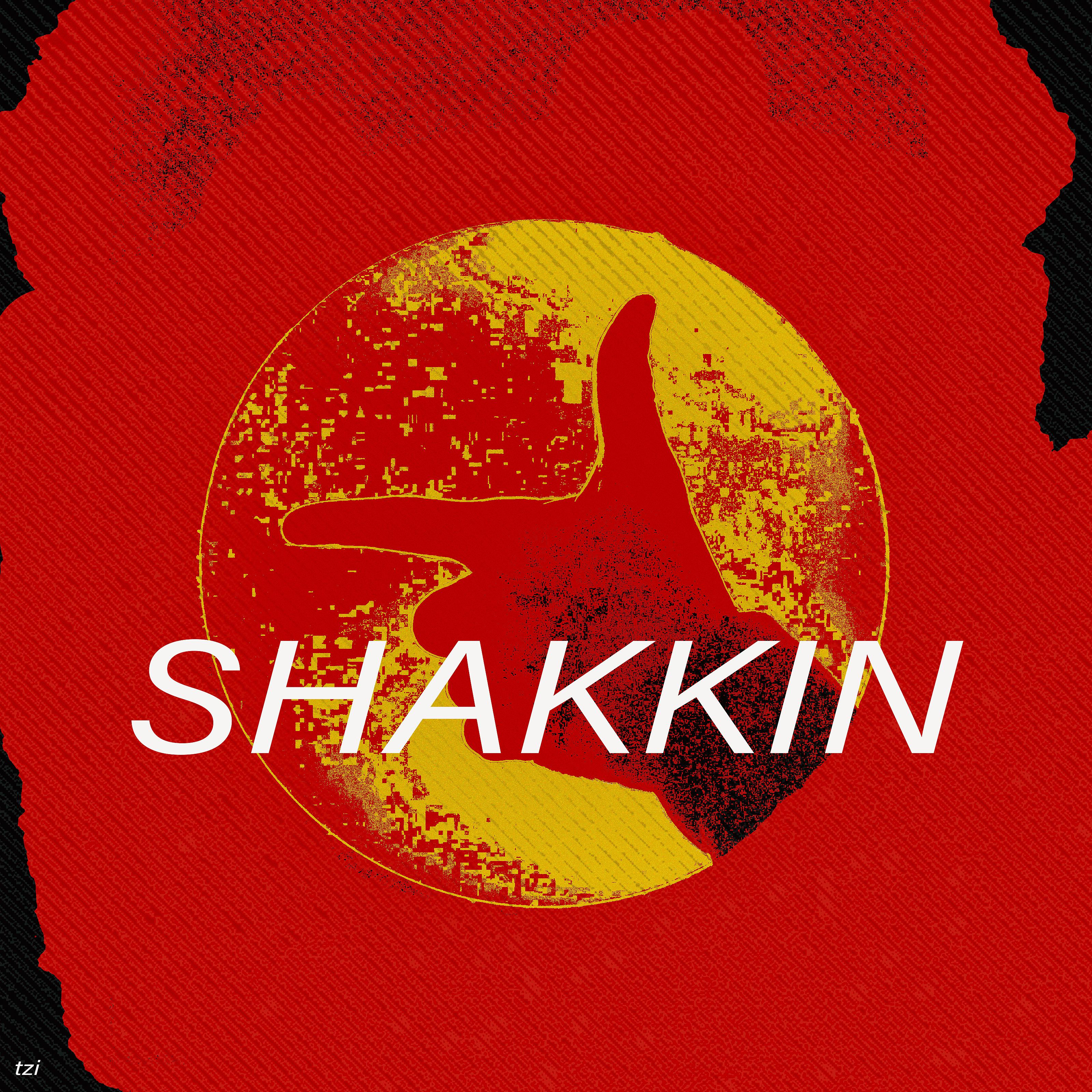 Постер альбома Shakkin