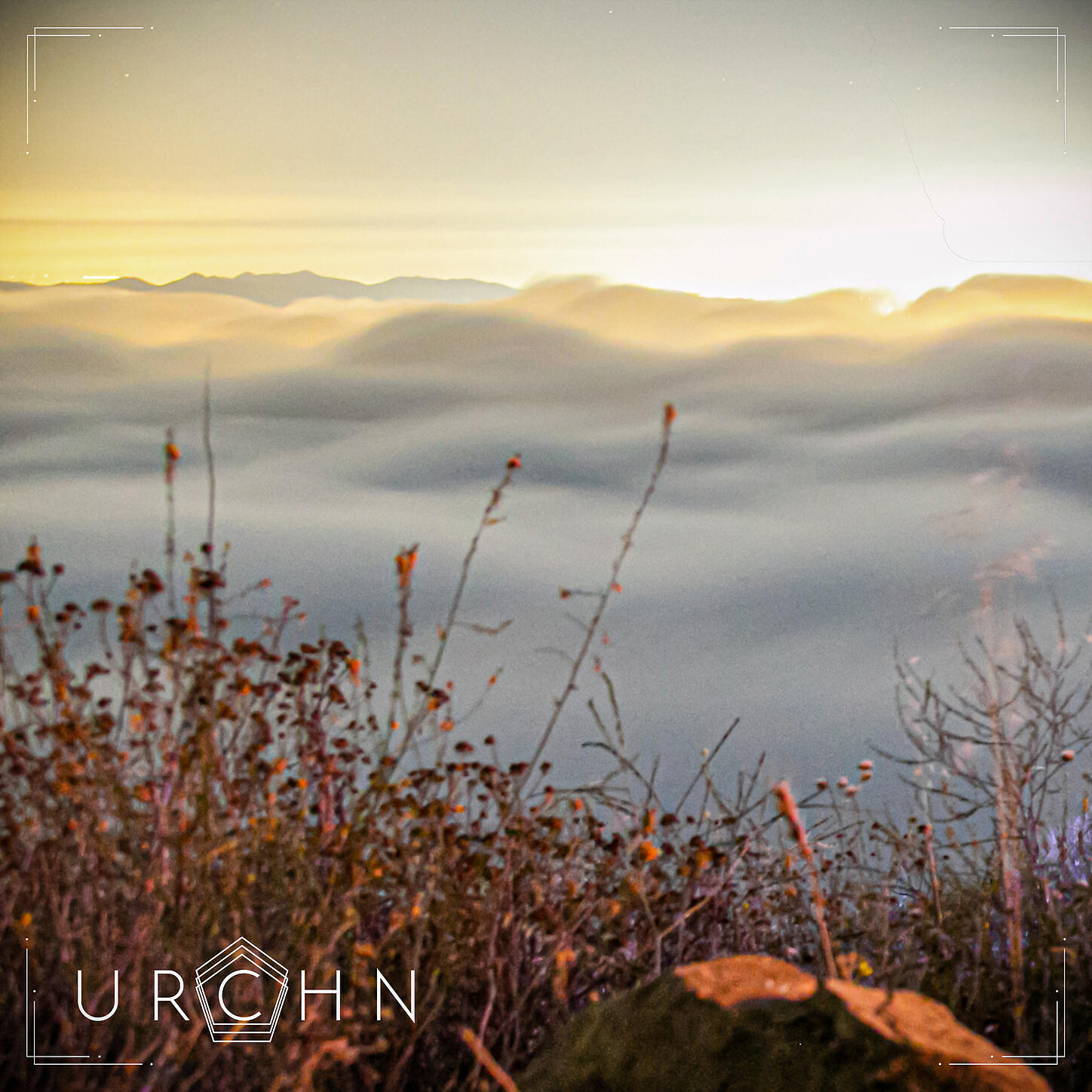 URCHN - Marine Layer