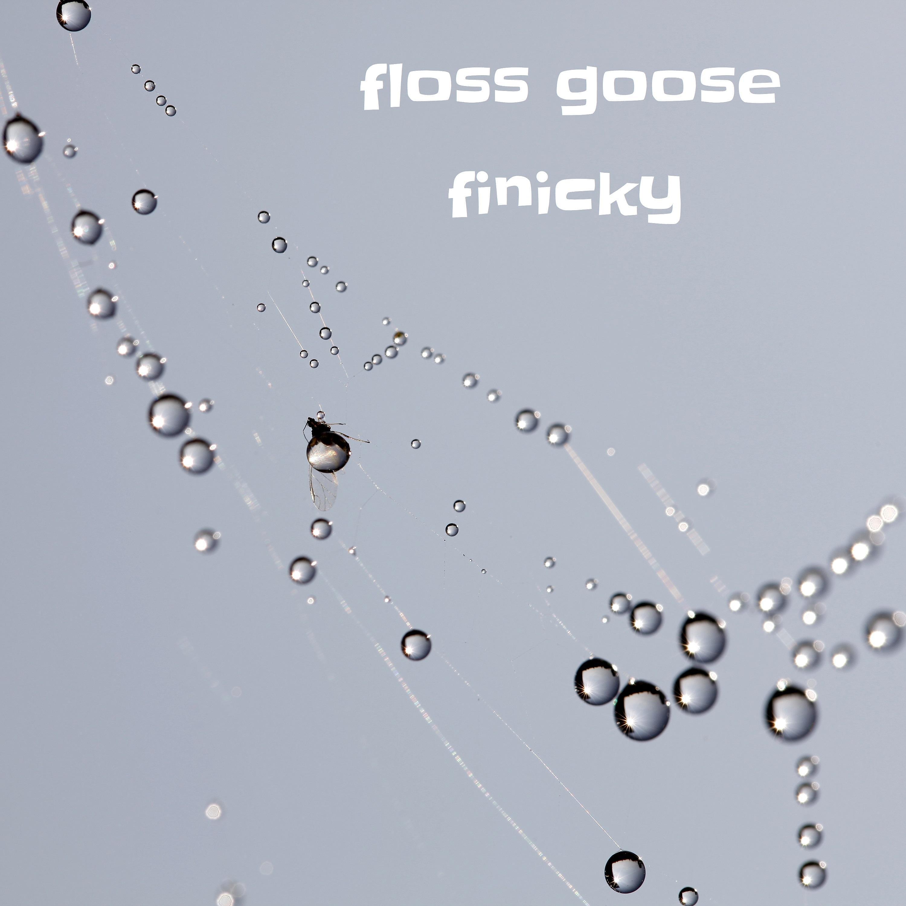 Постер альбома Finicky