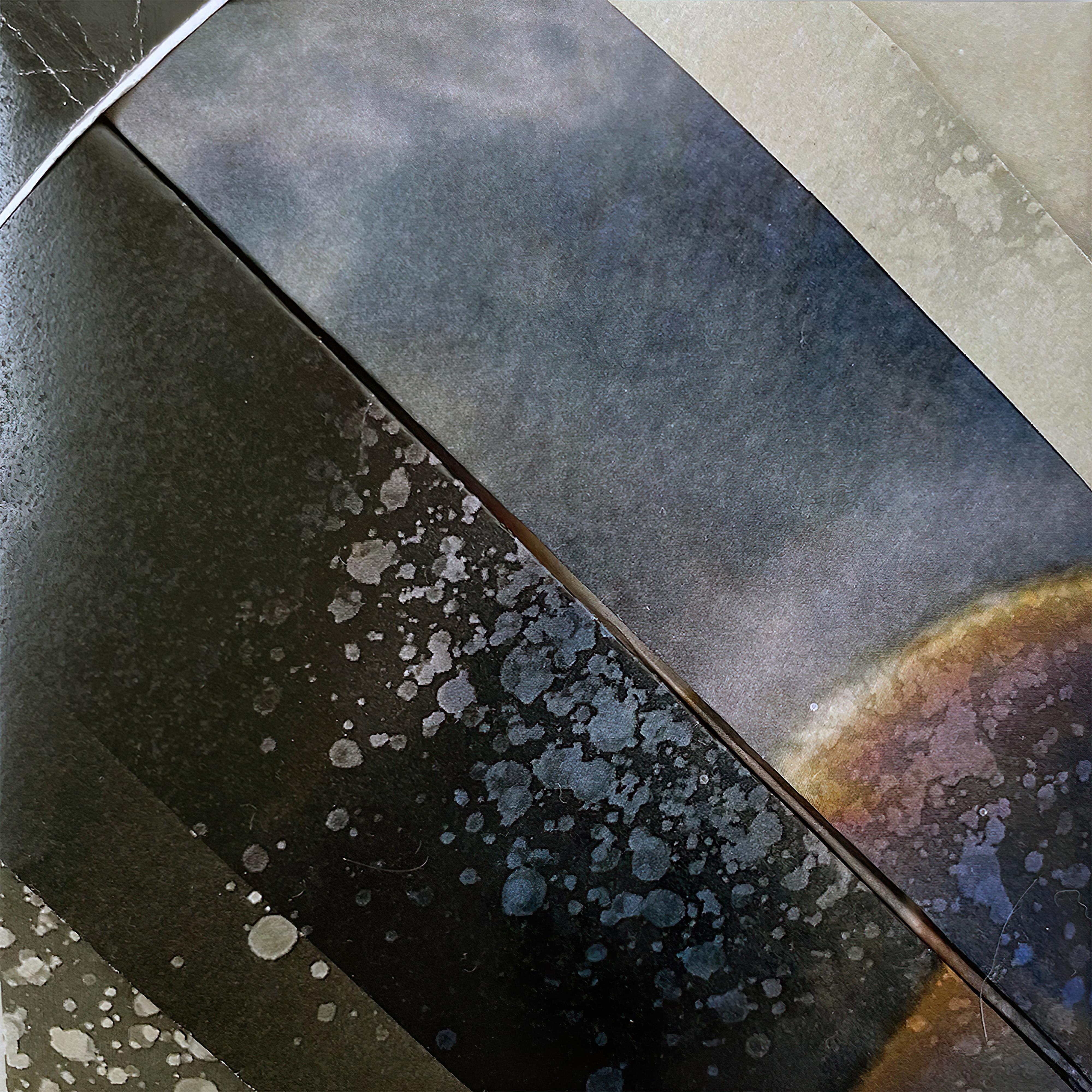 Emily Kokal - Una