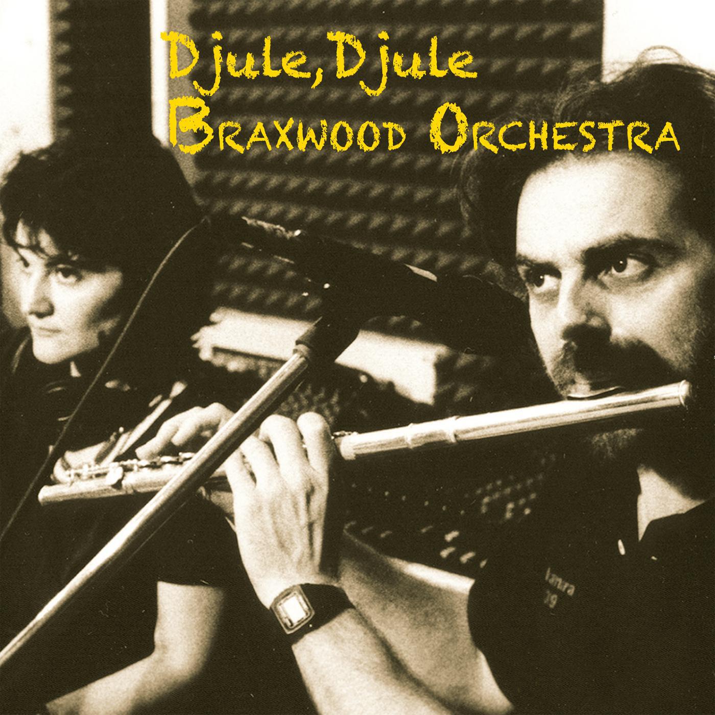 Braxwood Orchestra - Mister BG (feat. Daniel Studer)