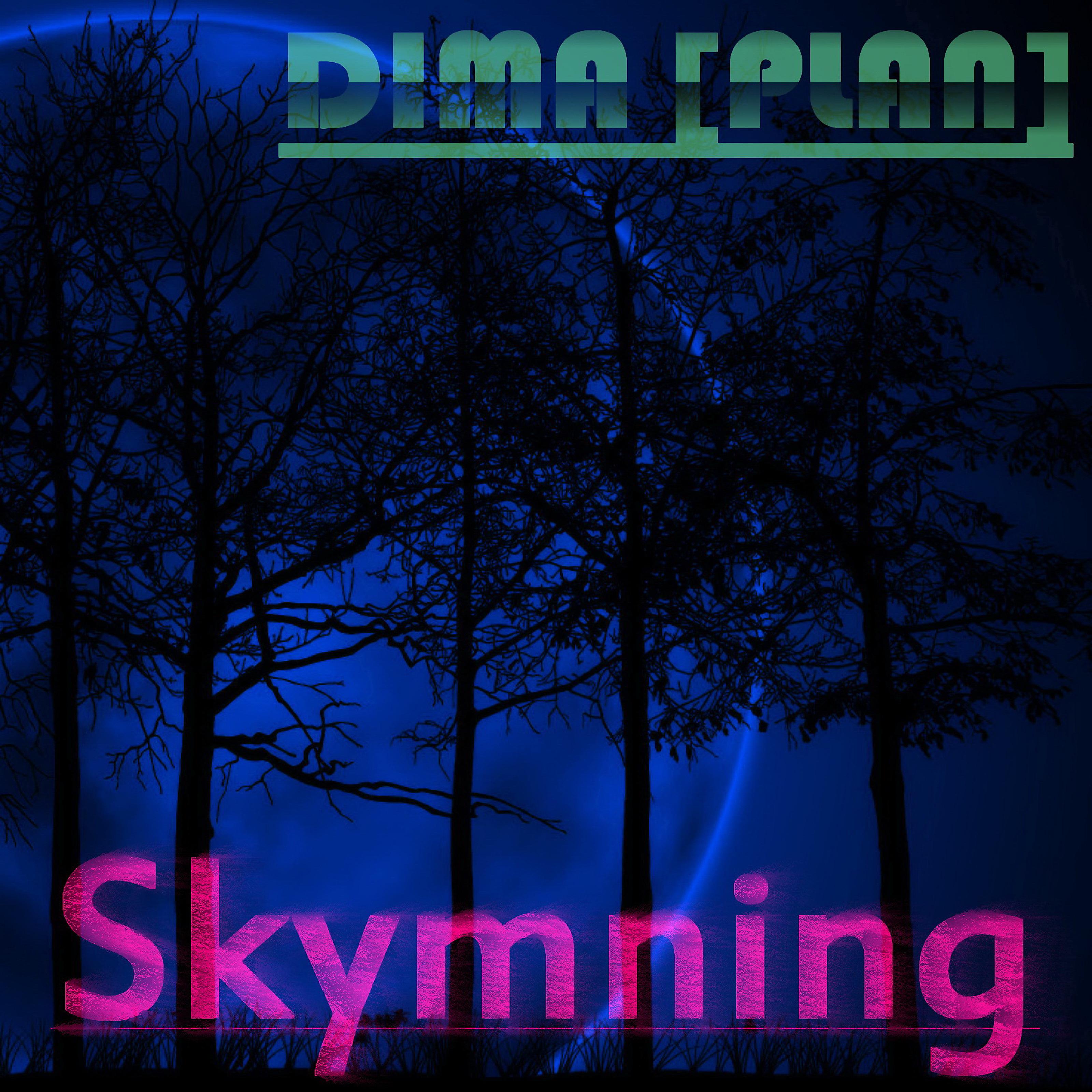 Постер альбома Skymning
