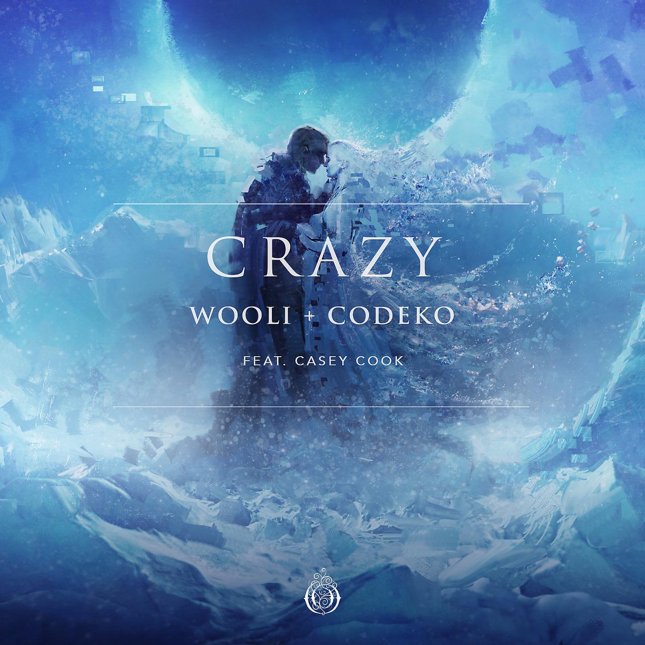 Постер альбома Crazy (feat. Casey Cook)