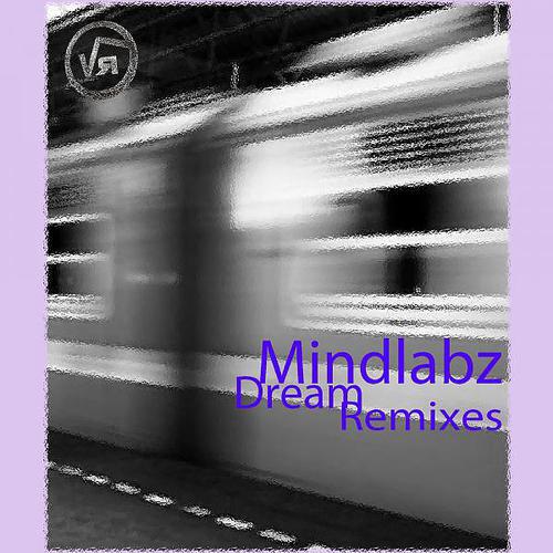 MindLabz - Dream (Dodgi Remix Vocal One Shot)