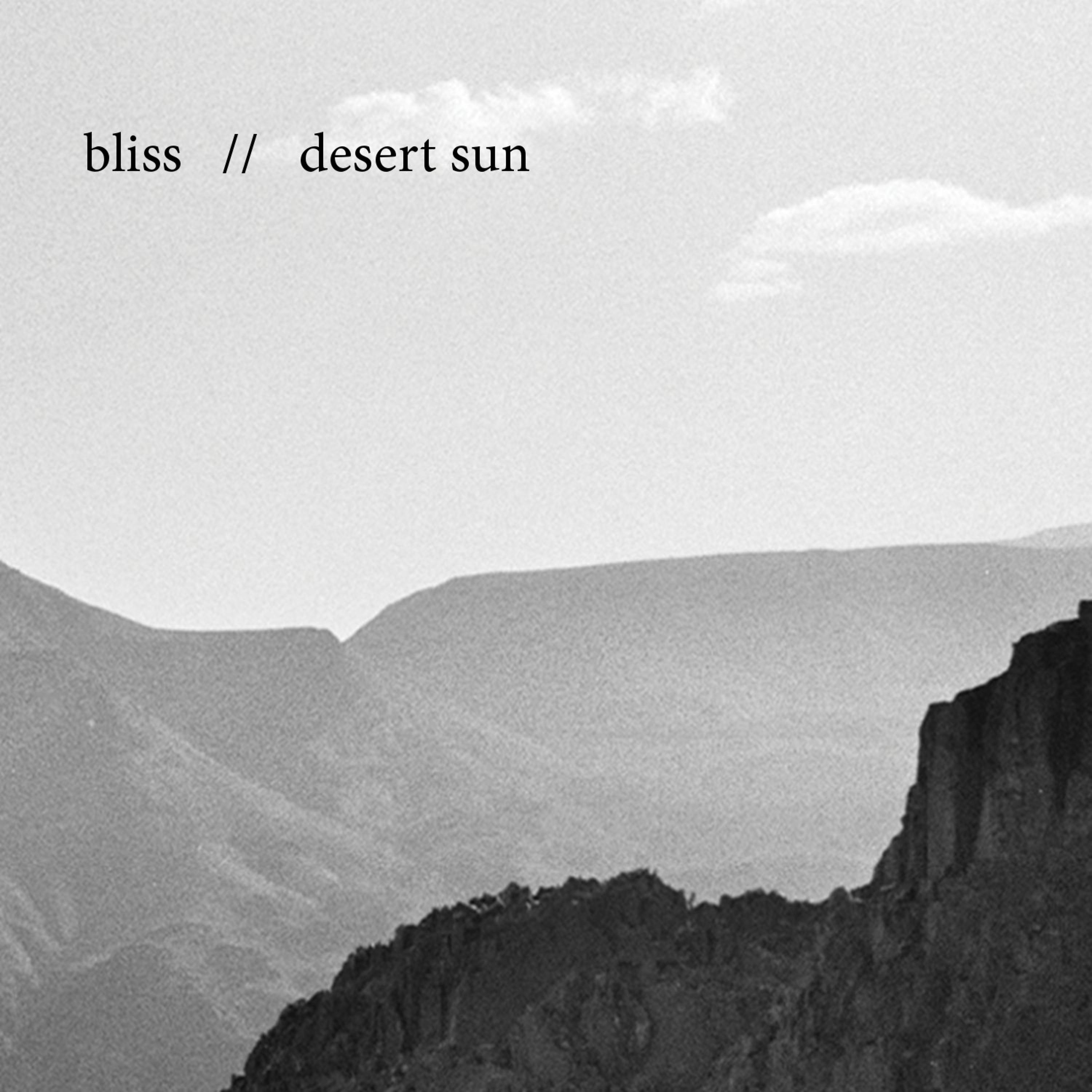 Постер альбома Desert Sun (Radio Edit)