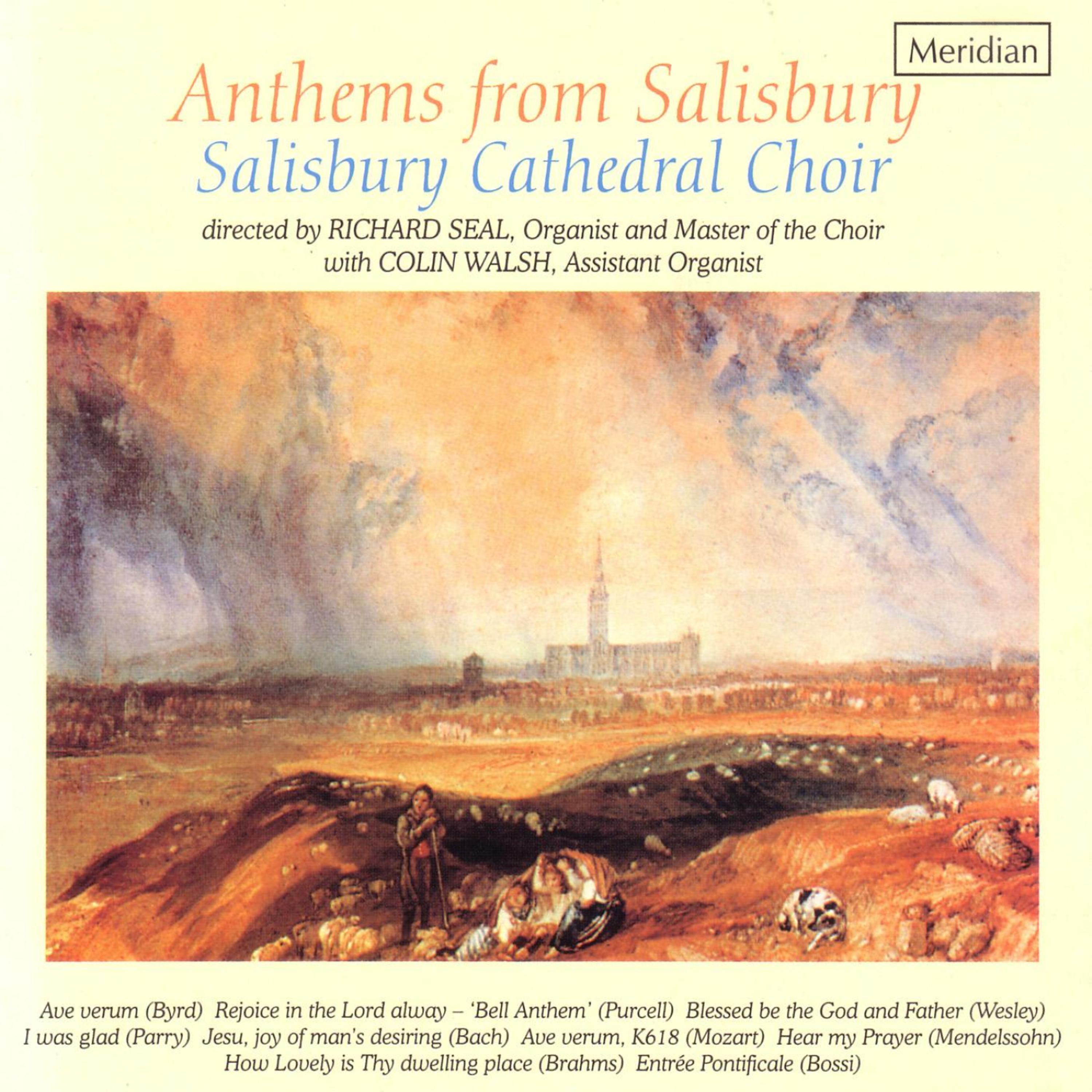 Постер альбома Anthems from Salisbury