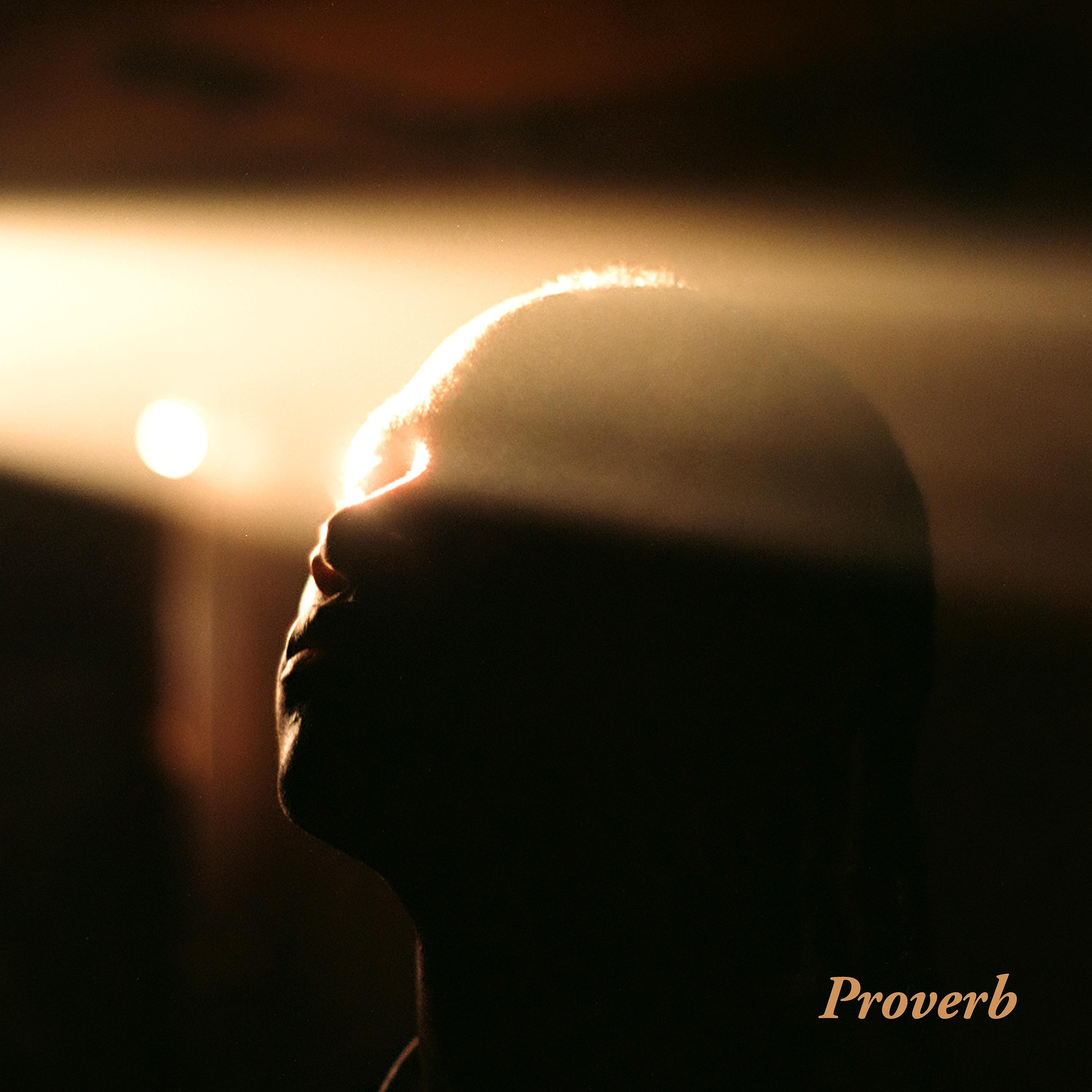 Постер альбома Proverb