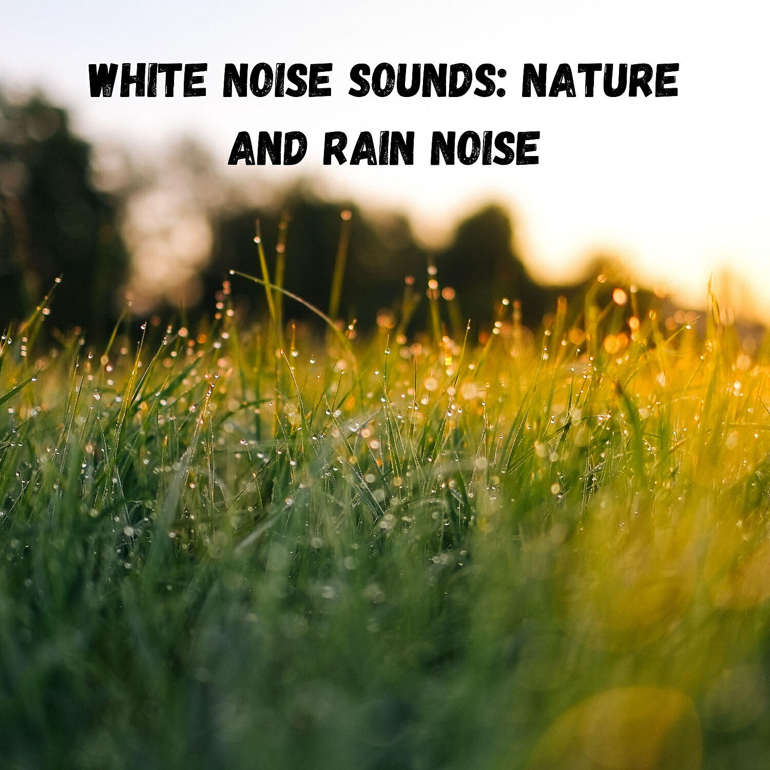 Brainwave Samples - Mantra of Rain
