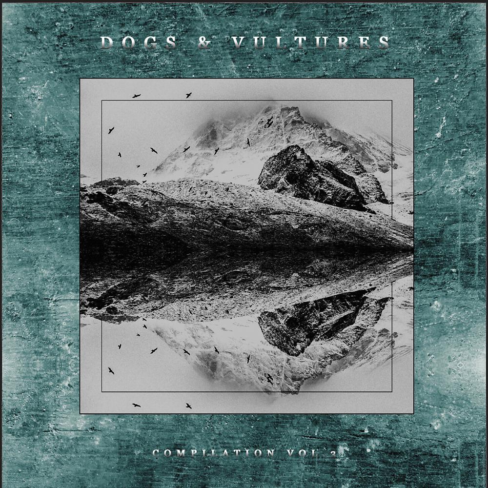 Постер альбома Dogs & Vultures Compilation, Vol. 3