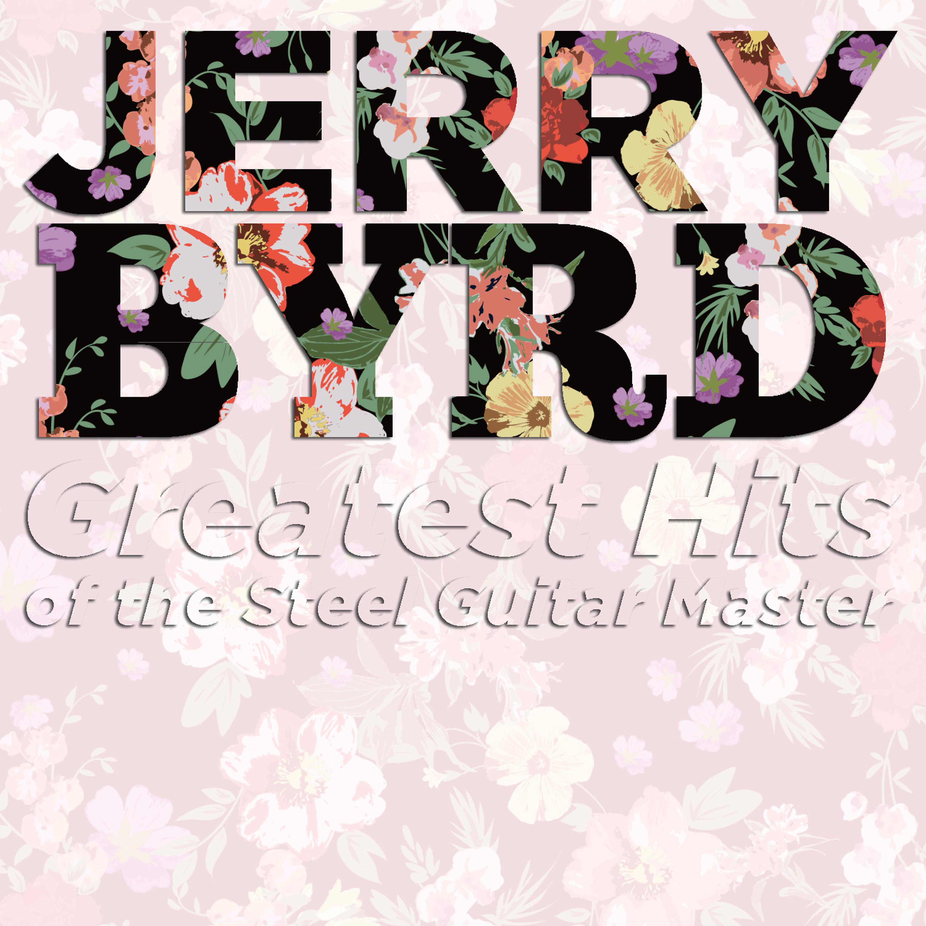 Постер альбома Greatest Hits of the Steel Guitar Master