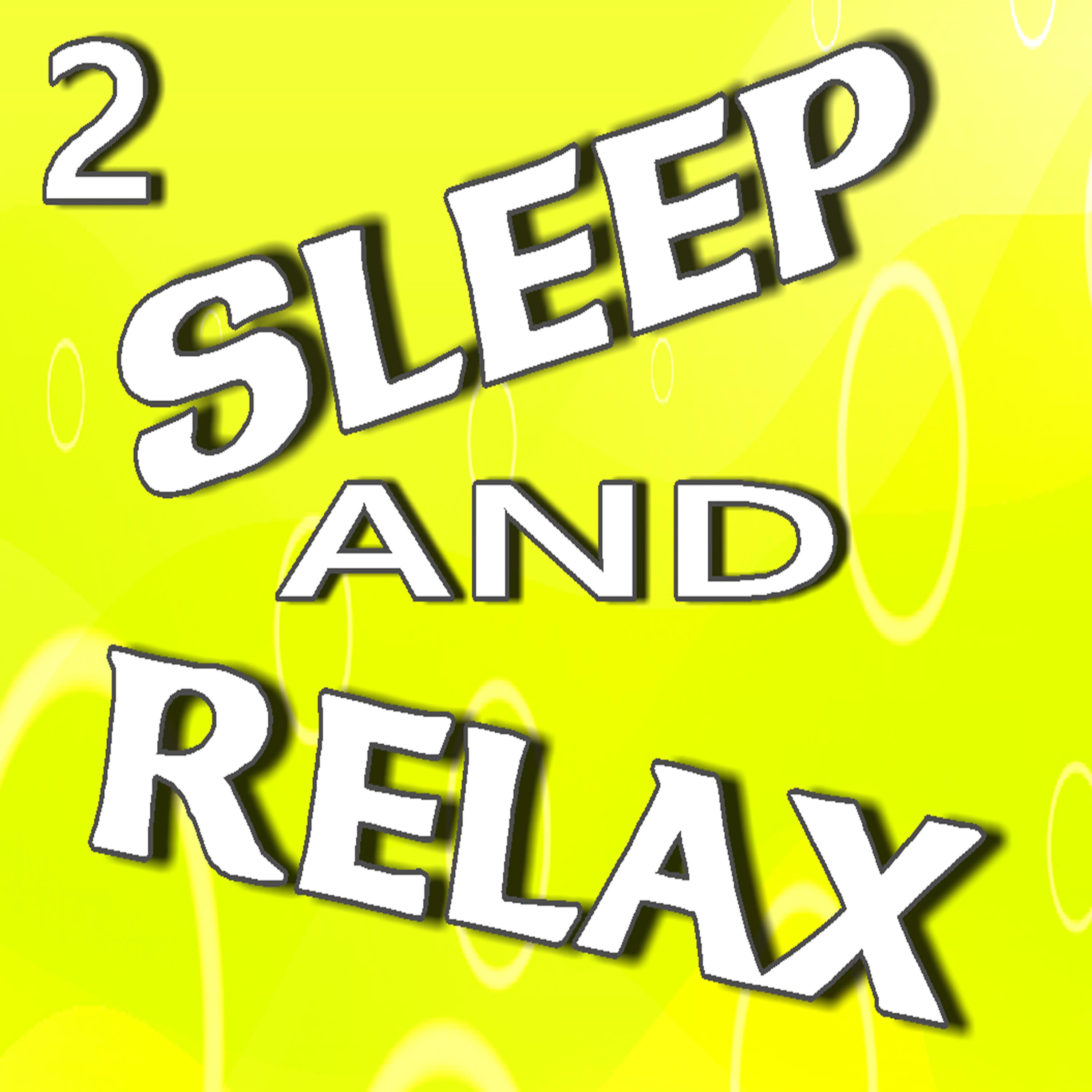 Постер альбома Sleep and Relax, Vol. 2 (Instrumental)
