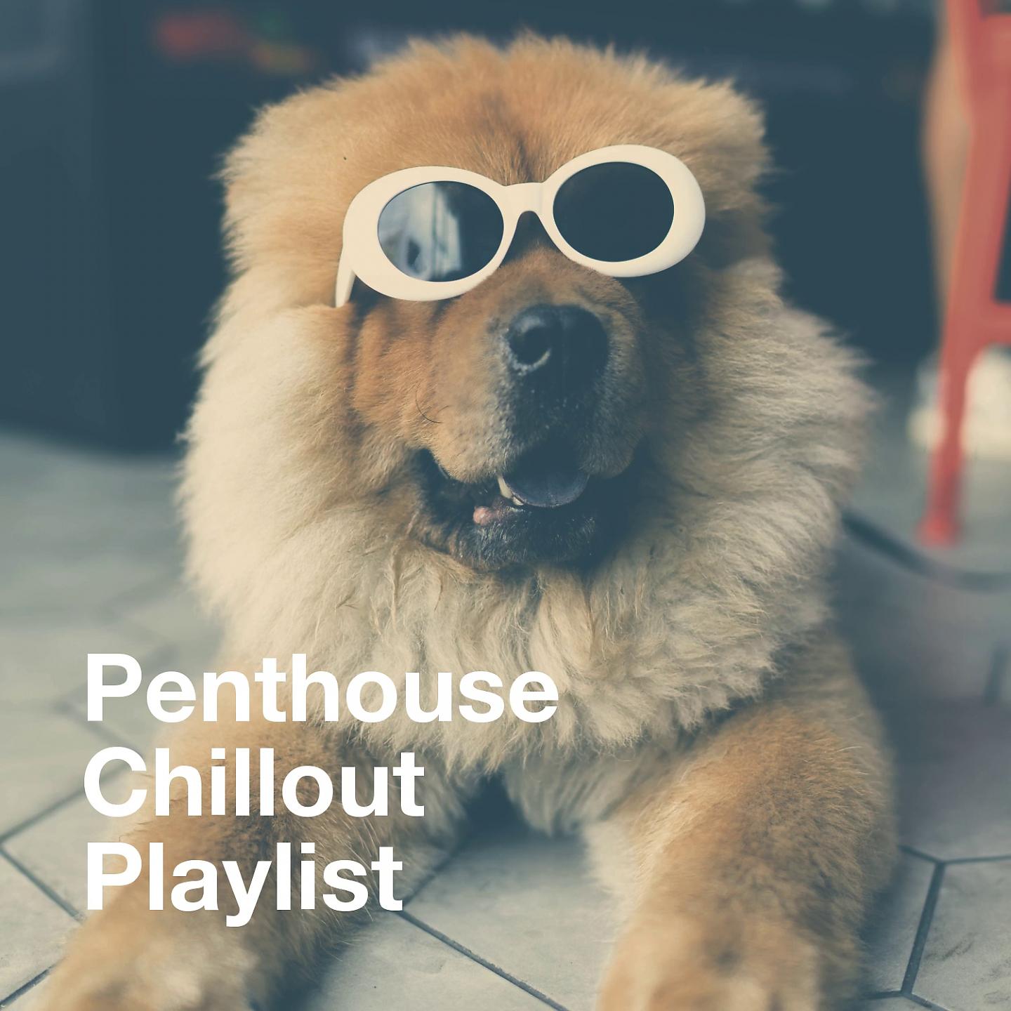 Постер альбома Penthouse Chillout Playlist