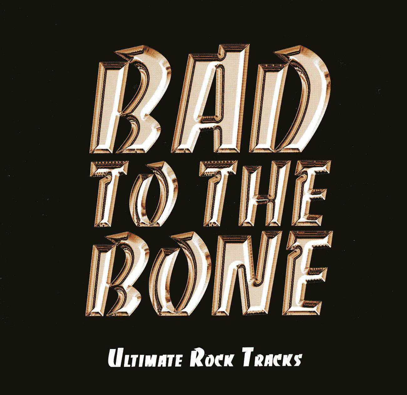 Постер альбома Bad to the Bone - Wicked Rock Playlist