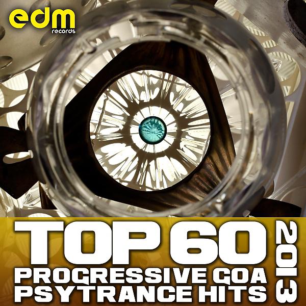 Постер альбома Top 60 Progressive Goa Psy Trance Hits 2013