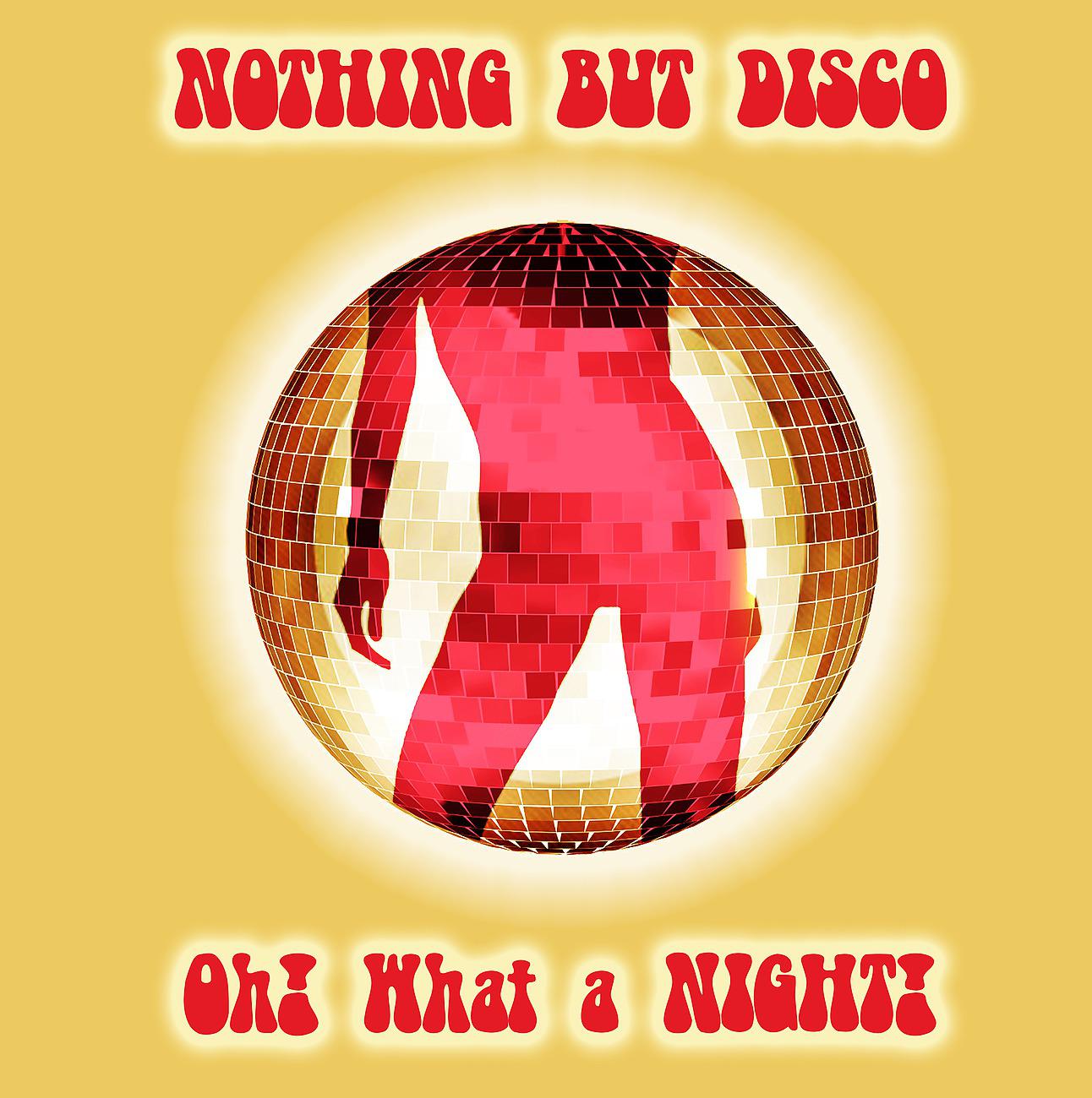 Постер альбома Nothin' But Disco - Oh! What A Night