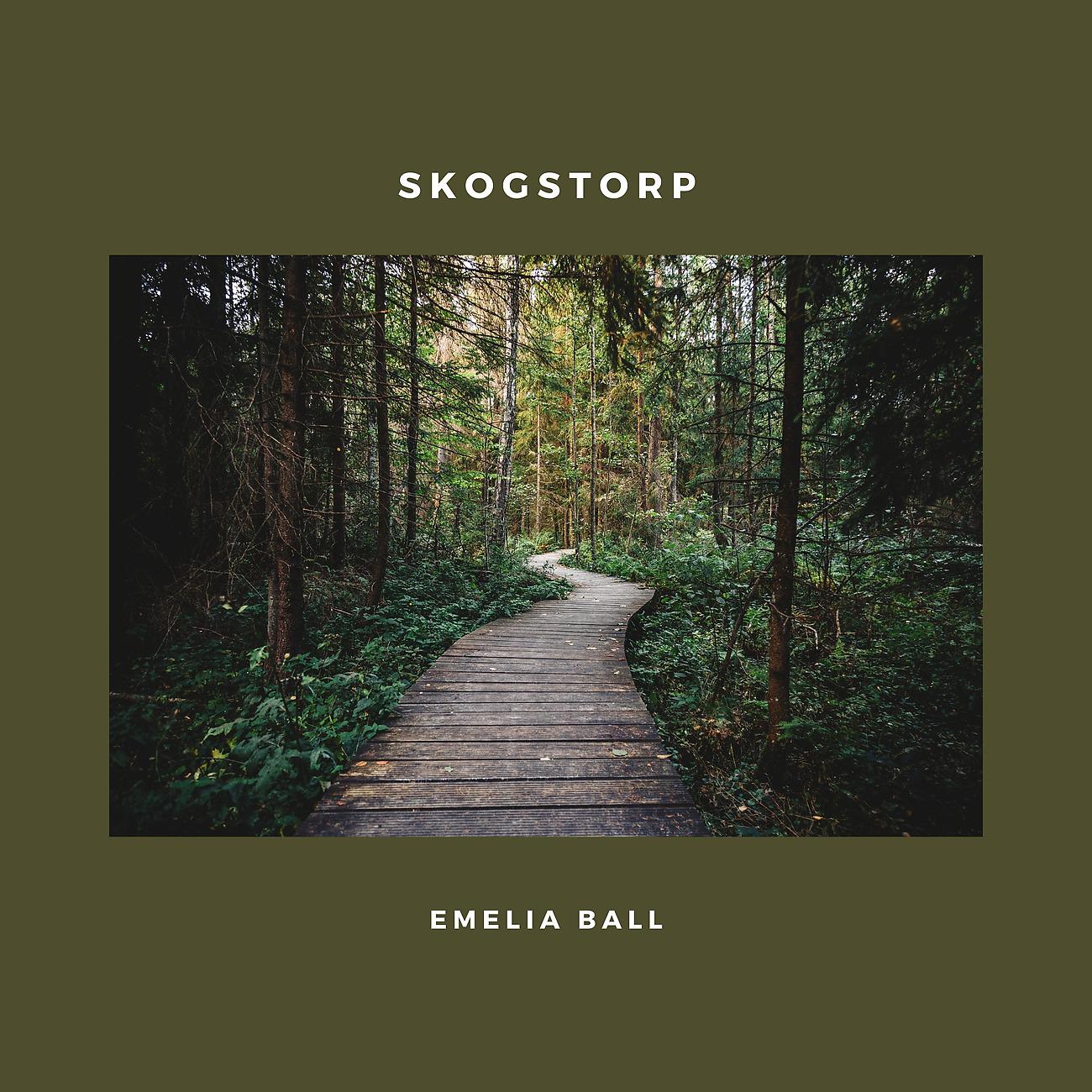 Постер альбома Skogstorp