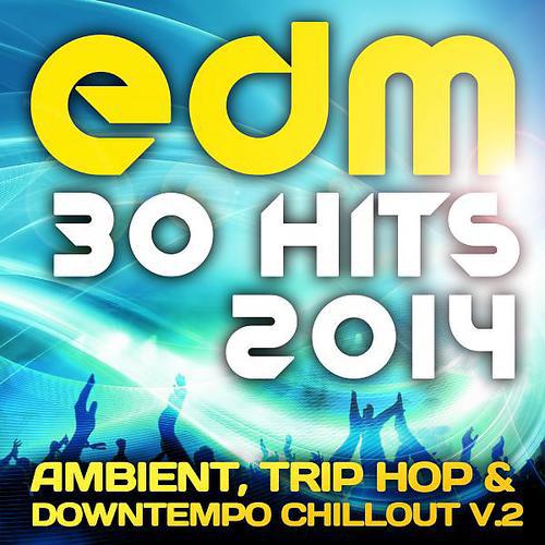 Постер альбома EDM090 EDM Ambient, Trip Hop & Downtempo Chillout, Vol. 2 (30 Top Hits 2014)