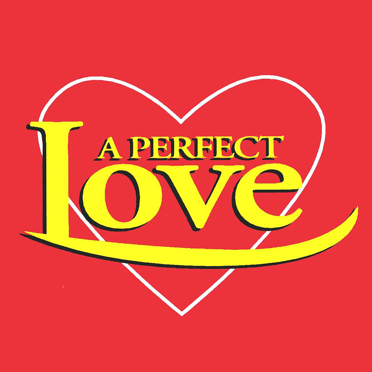 Постер альбома A Perfect Love - Heart Throbbing Tracks