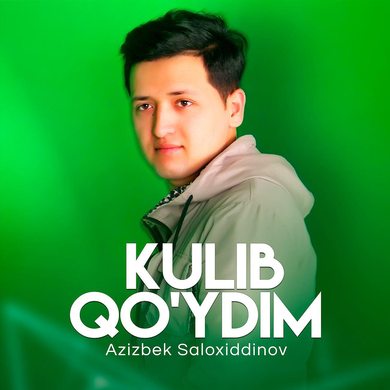 Постер альбома Kulib qo'ydim