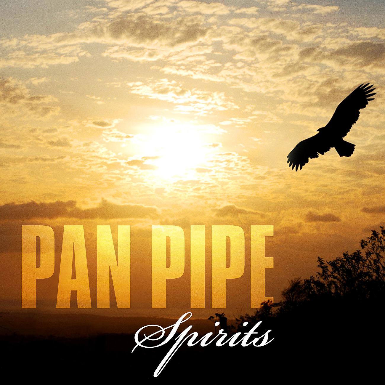 Постер альбома Pan Pipe Spirits