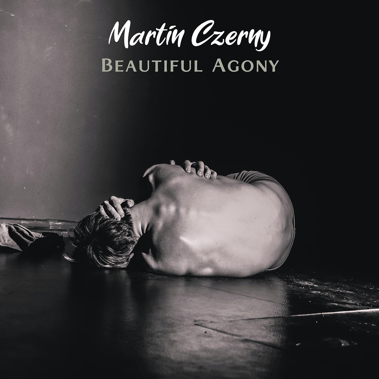 Постер альбома Beautiful Agony