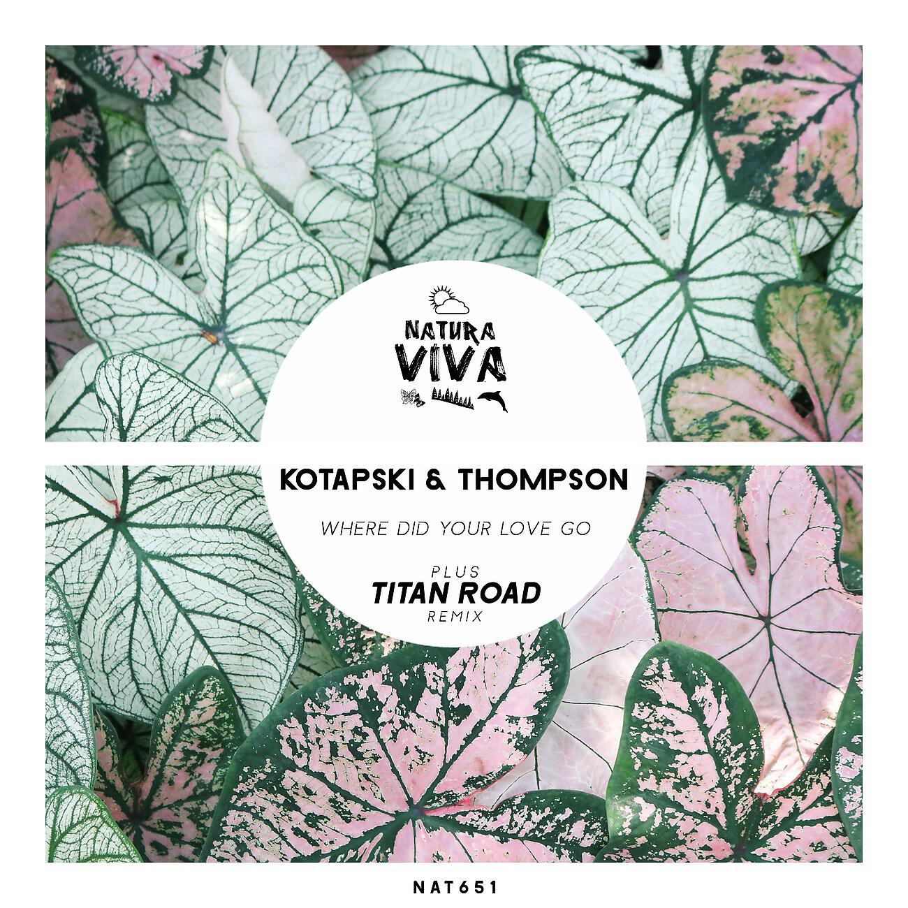 Kotapski - Where Did Your Love Go (Kotapski Edit)