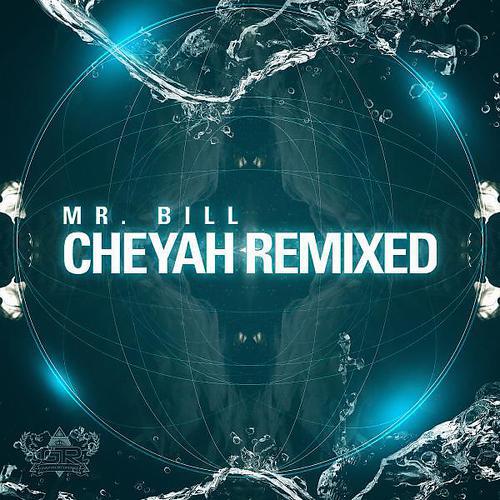 Mr. Bill - Cheyah (Haywyre Remix)