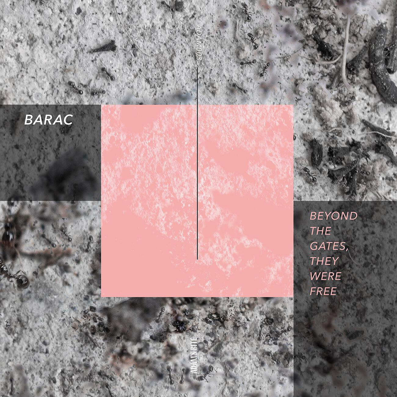 Barac - I Shall Not Be Shaken