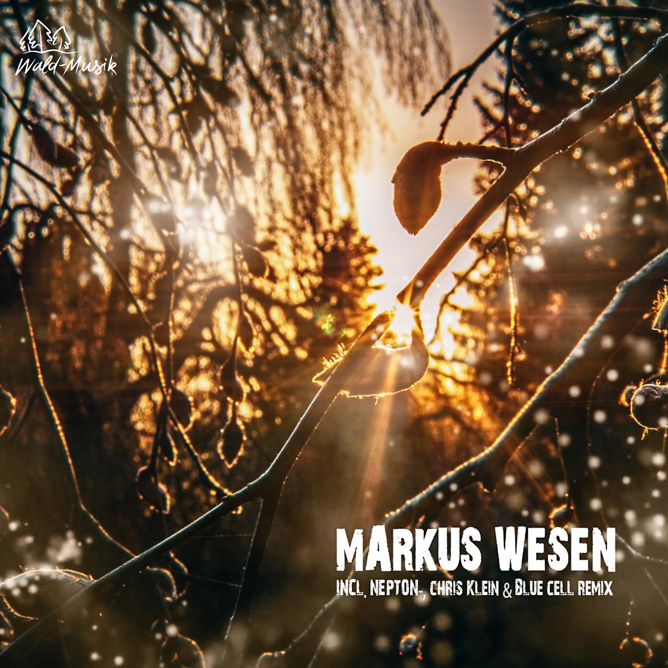 Markus Wesen - Ligo (Chris Klein Remix)