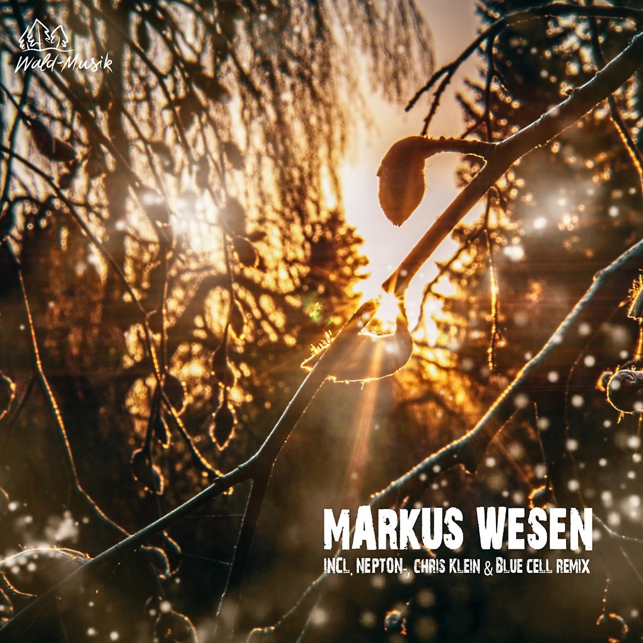 Markus Wesen - Hannah Amara