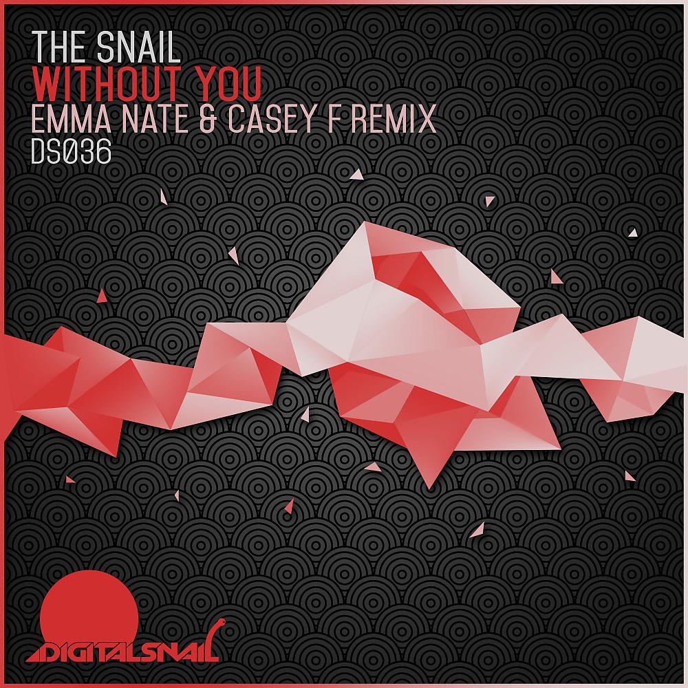 Постер альбома Without You (Emma-Nate & Casey F Remix)