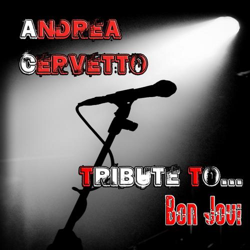Постер альбома Tribute to Bon Jovi