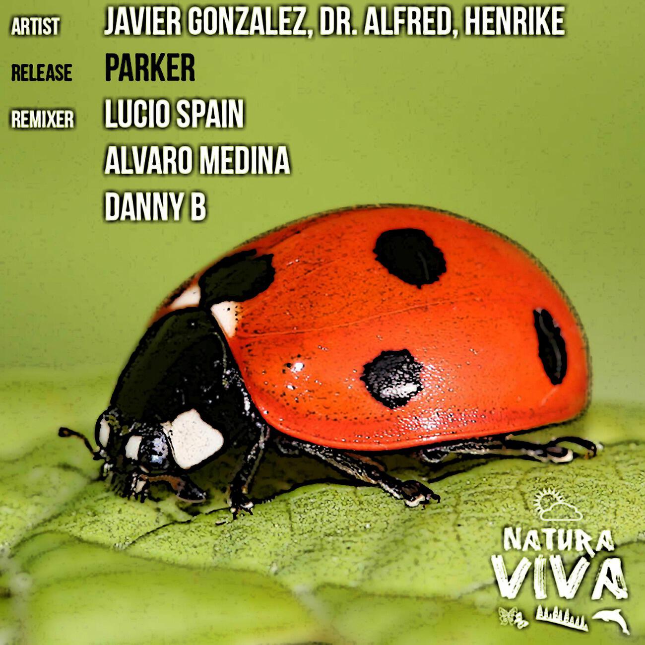 Javier Gonzalez - Parker (Lucio Spain Remix)